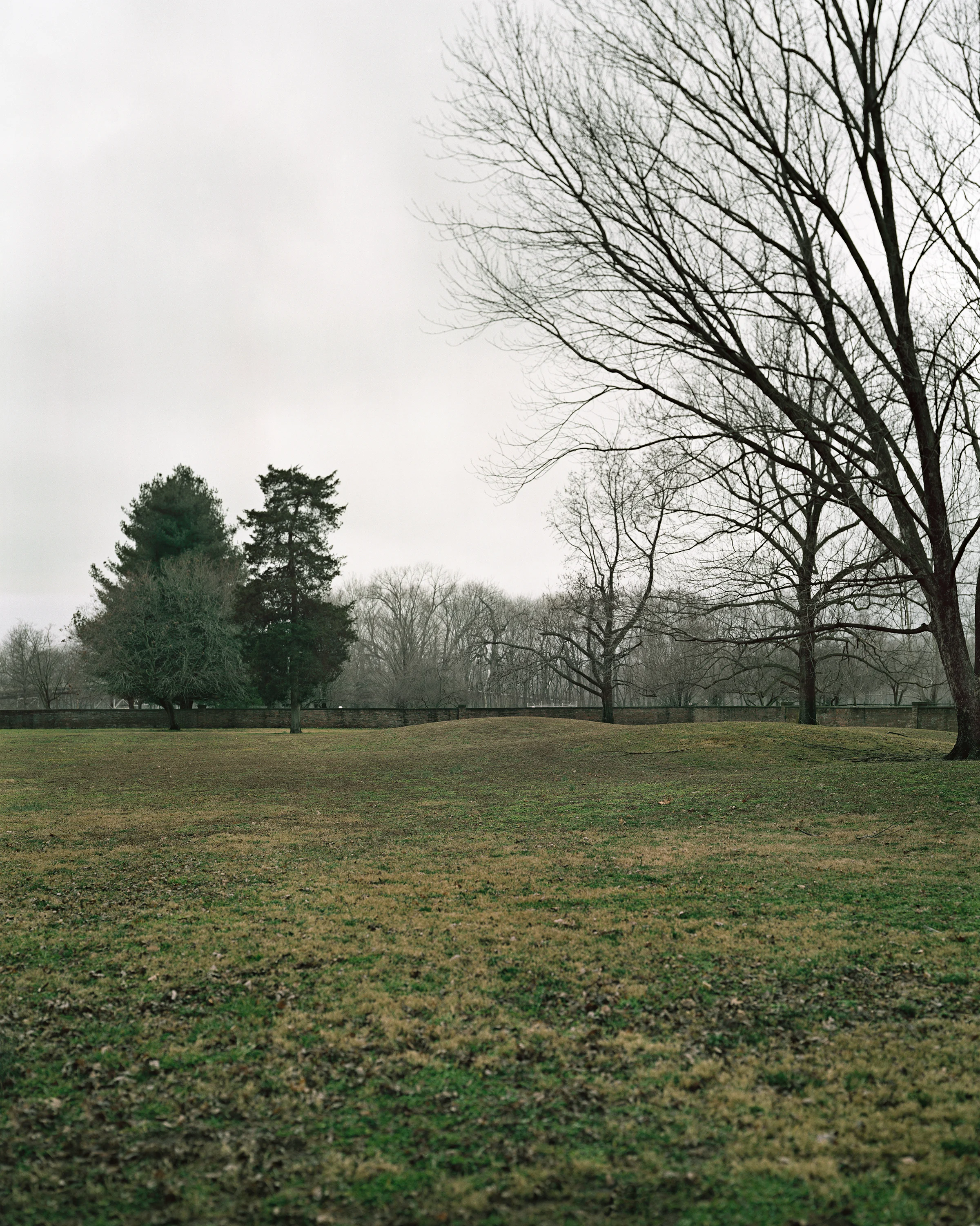 Harmonist Cemetery, 2012 Digital C-print, 40 x 32 inches