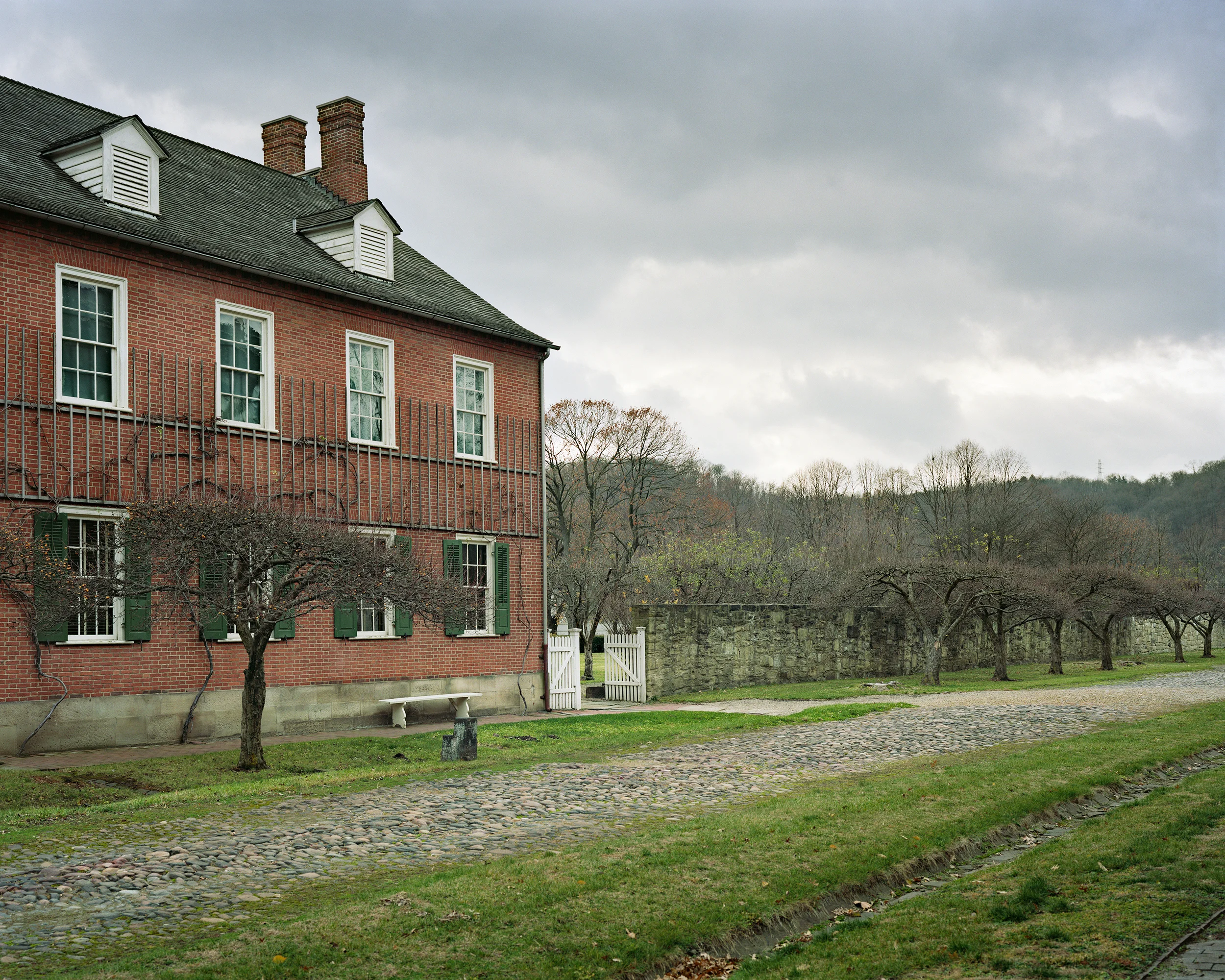 Frederick's Wing Until Death, 2012 Digital C-print, 40 x 50 inches