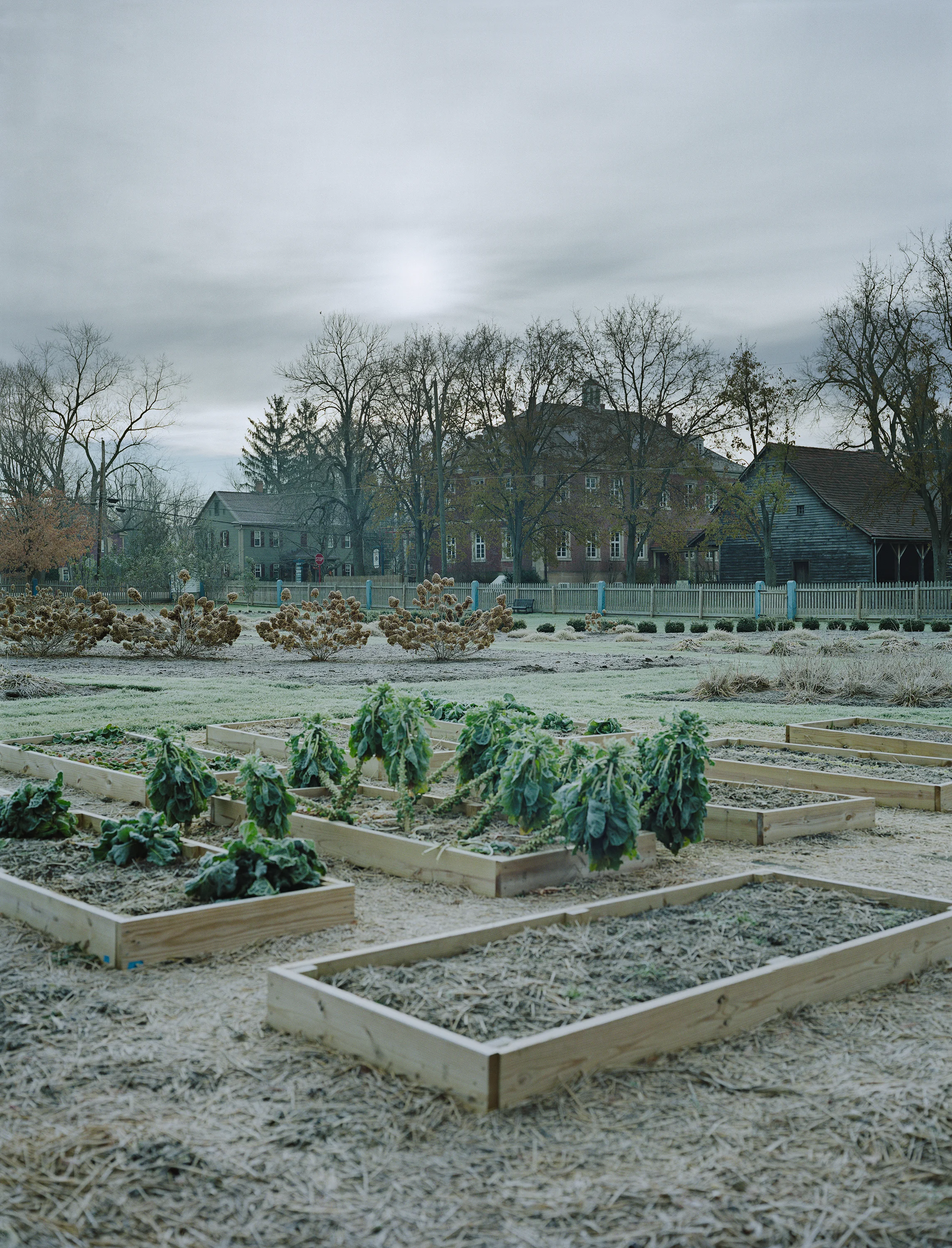 Lustgarten, 2012 Digital C-print, 40 x 32 inches