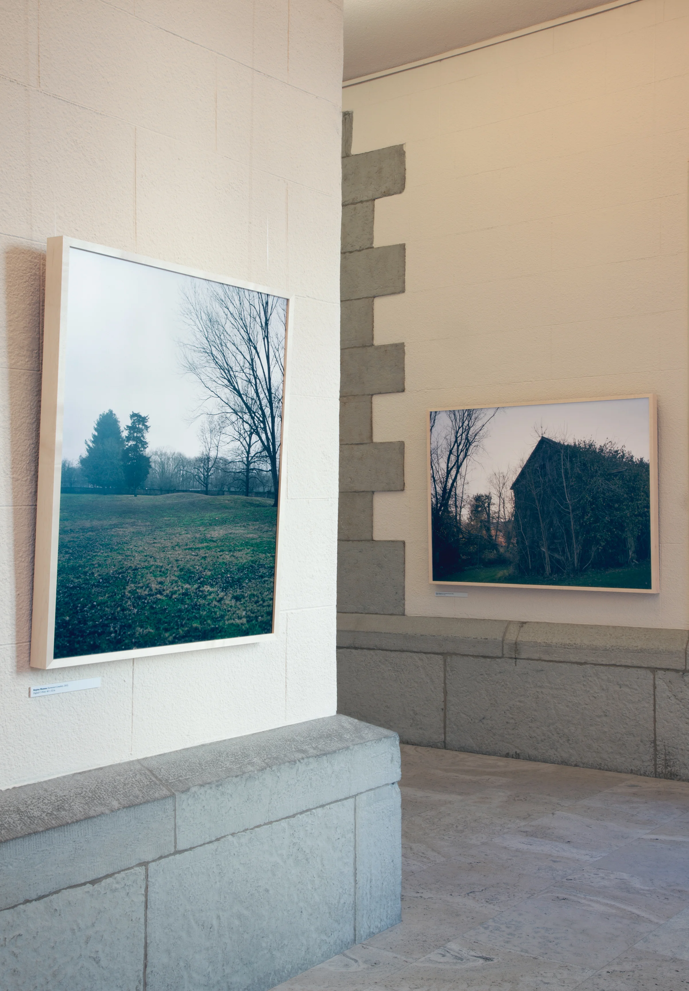 Unfortunately, It Was Paradise, 2013–2014 Installation view, The Historic Water Tower Gallery (Chicago, Illinois)