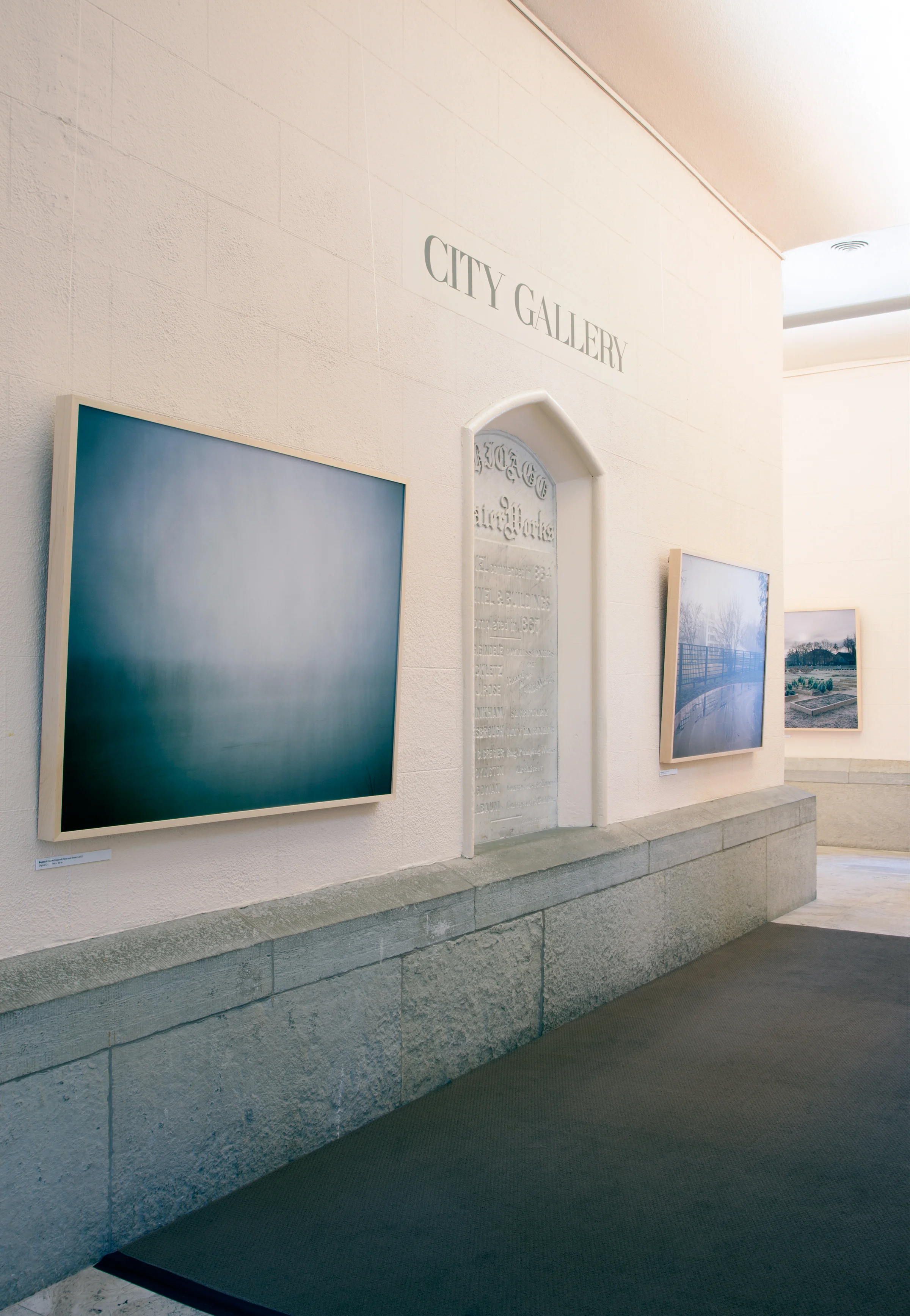 Unfortunately, It Was Paradise, 2013–2014 Installation view, The Historic Water Tower Gallery (Chicago, Illinois)