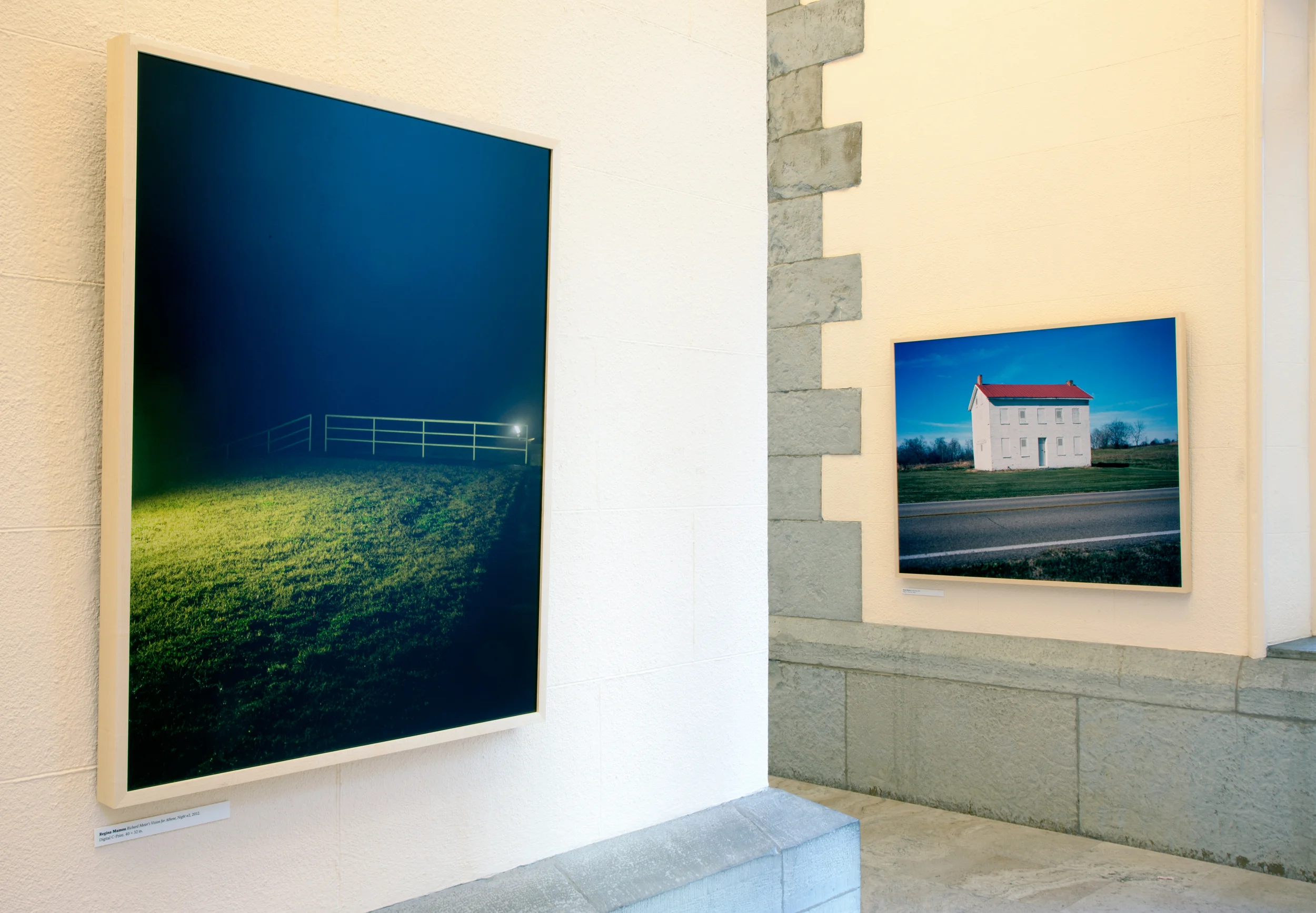 Unfortunately, It Was Paradise, 2013–2014 Installation view, The Historic Water Tower Gallery (Chicago, Illinois)