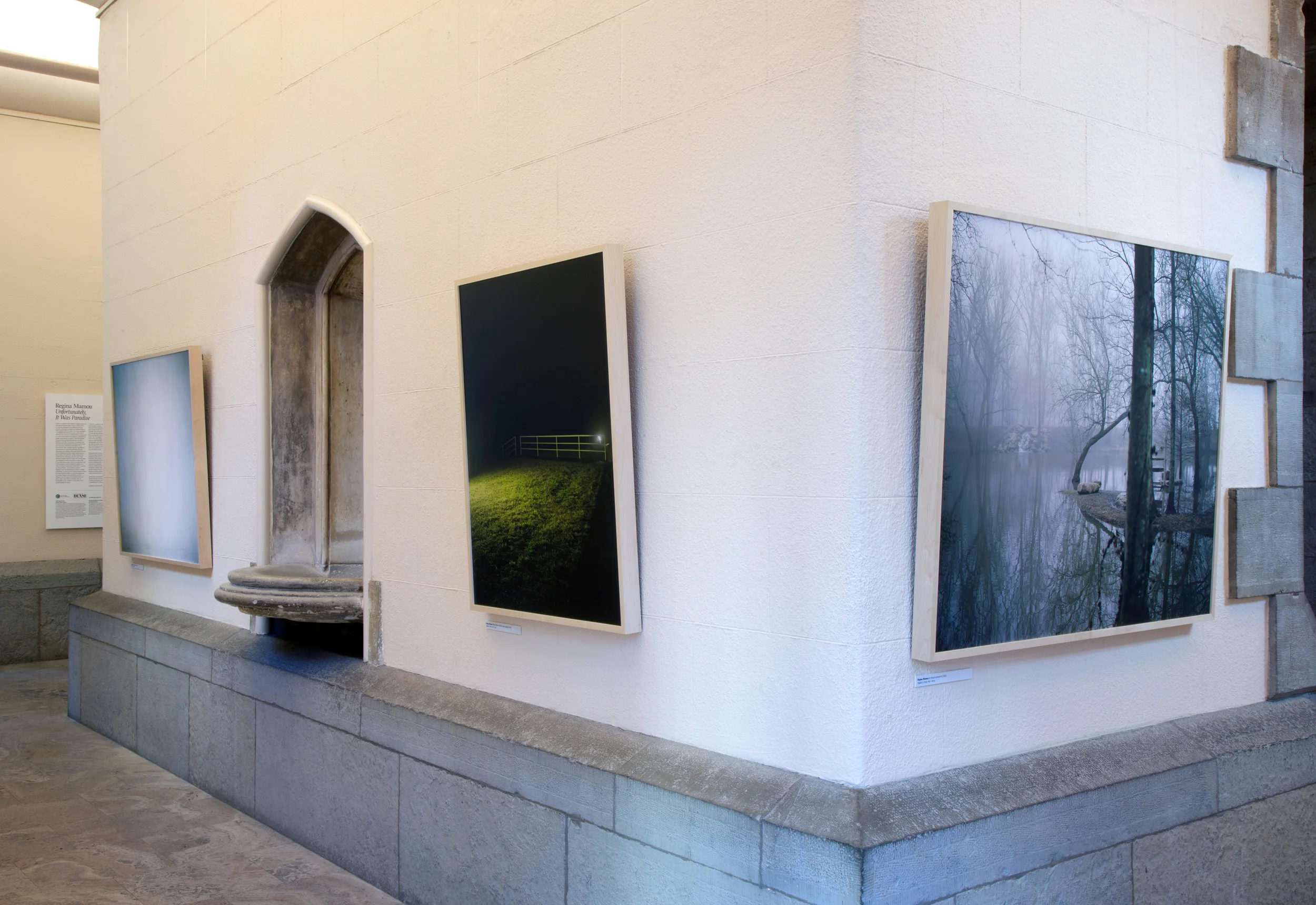 Unfortunately, It Was Paradise, 2013–2014 Installation view, The Historic Water Tower Gallery (Chicago, Illinois)
