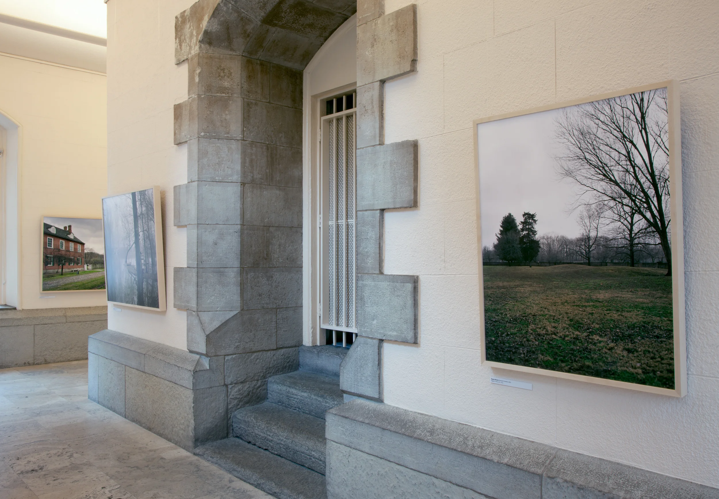 Unfortunately, It Was Paradise, 2013–2014 Installation view, The Historic Water Tower Gallery (Chicago, Illinois)