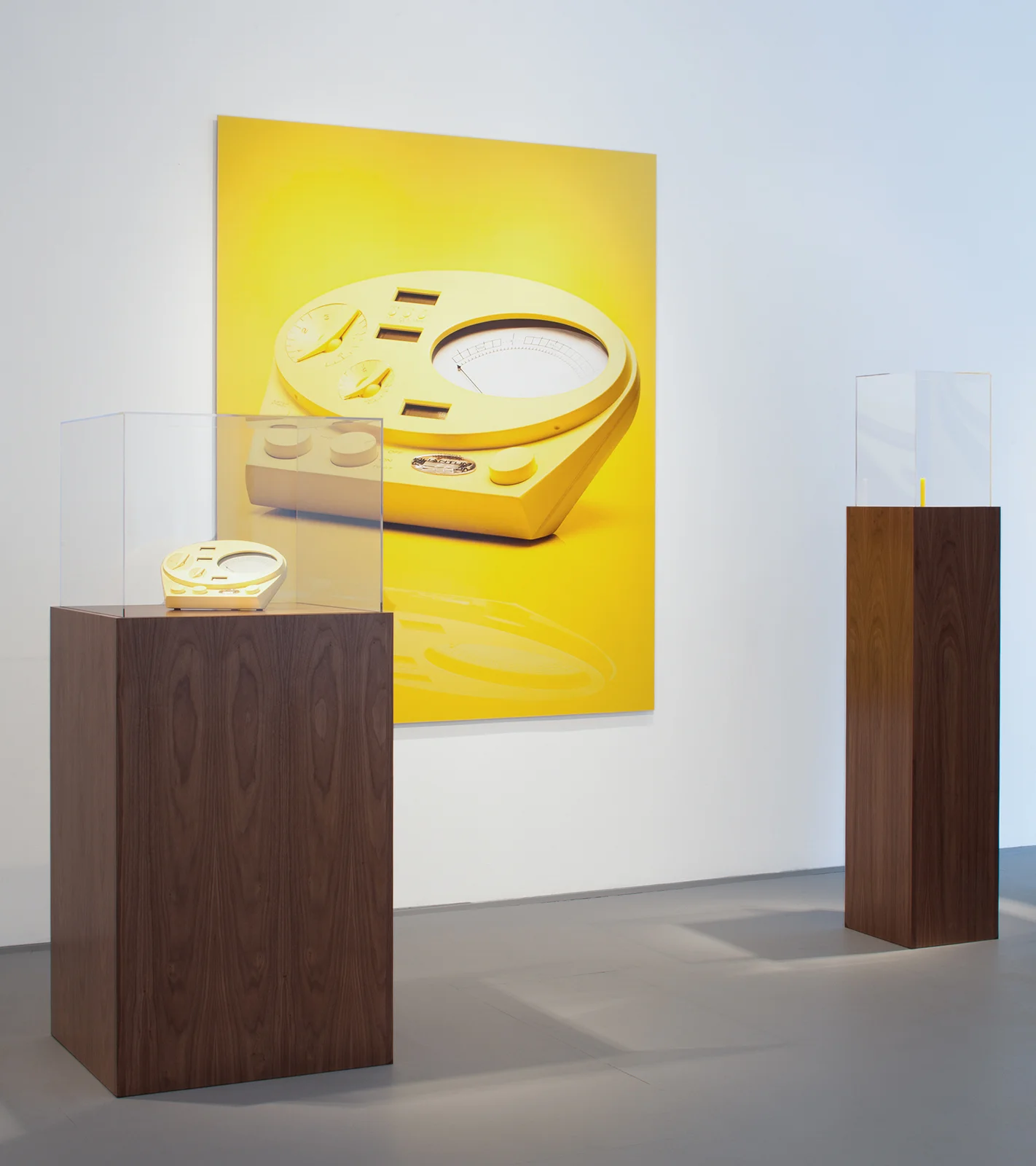 Psychometrics, 2015 Digital C-print mounted on Dibond, psychometer, 0.25-carat diamond made from human hair, walnut, acrylic Installation view, Chicago Artists' Coalition (Chicago, Illinois)