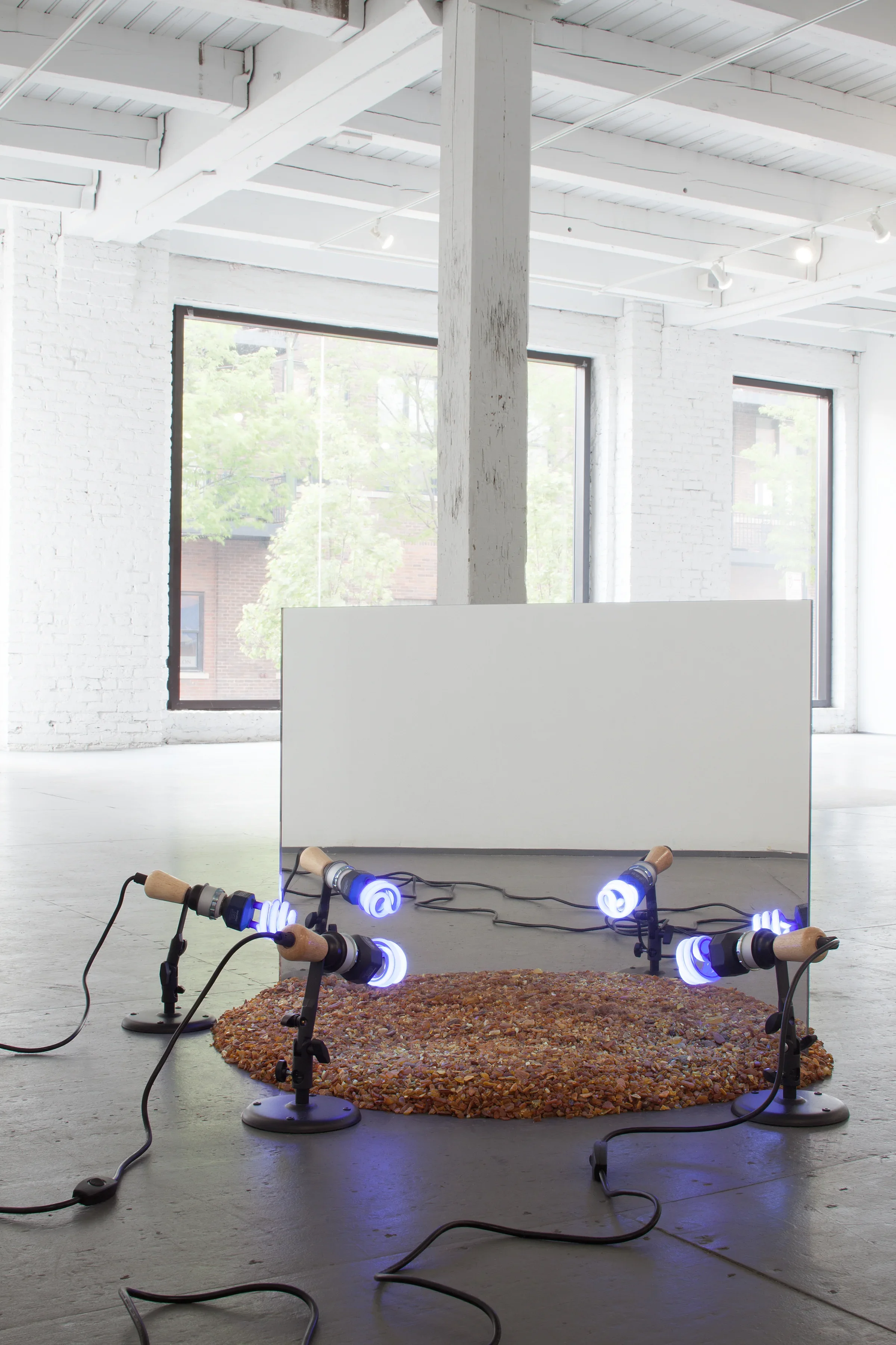 A Record of Disillusion (Chicago Artists' Coalition)