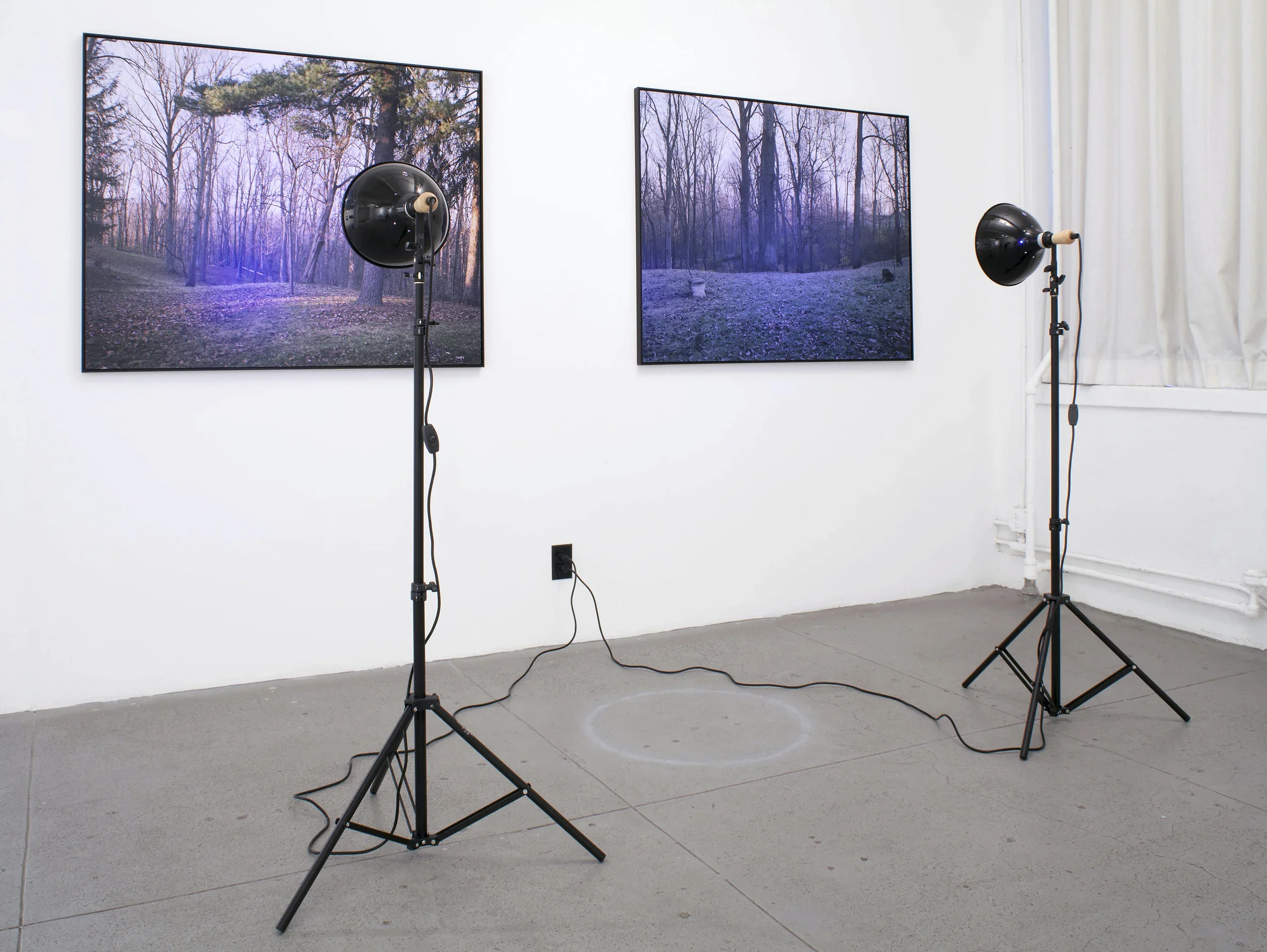 Proposed Vortex (Iteration #1) (The Elizabeth Foundation for the Arts)