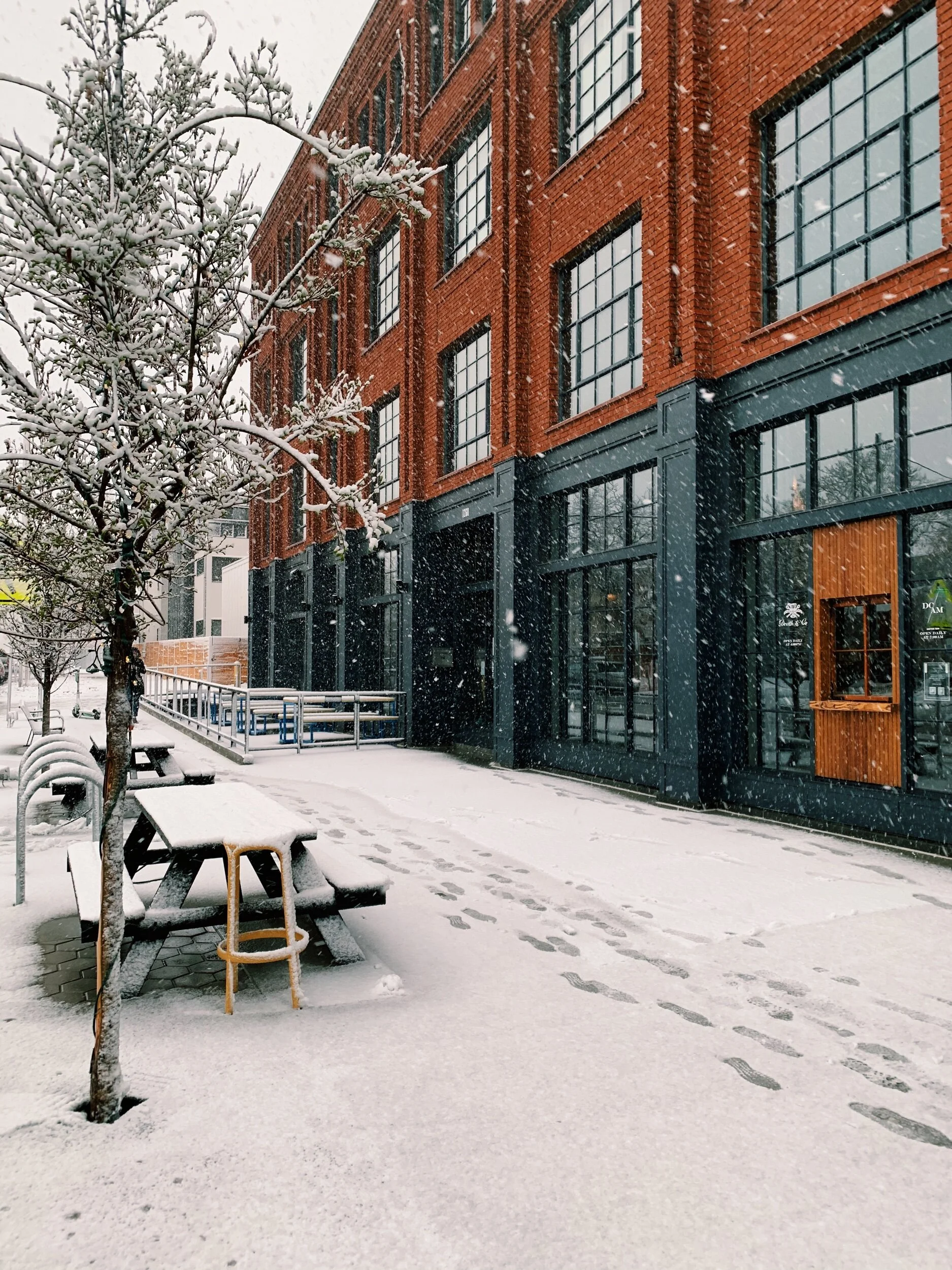 Travel Guide: A Few Days in Denver
