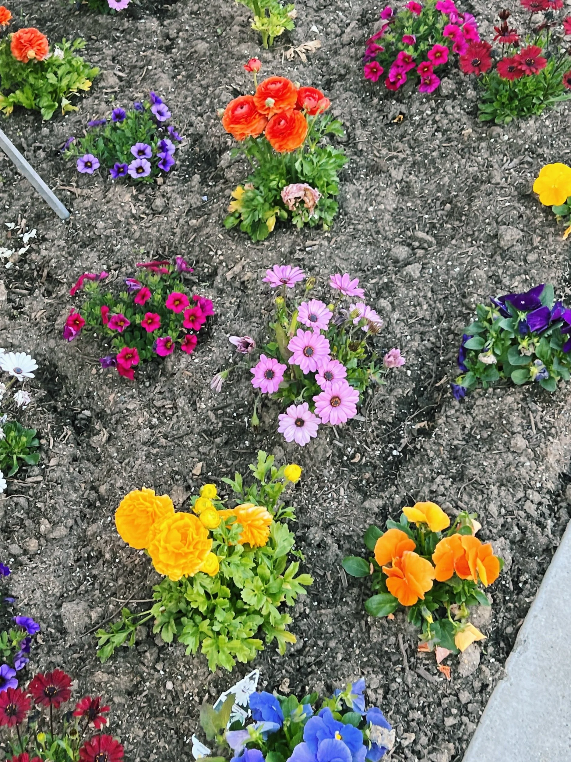 Weekly Wins | 08.2025