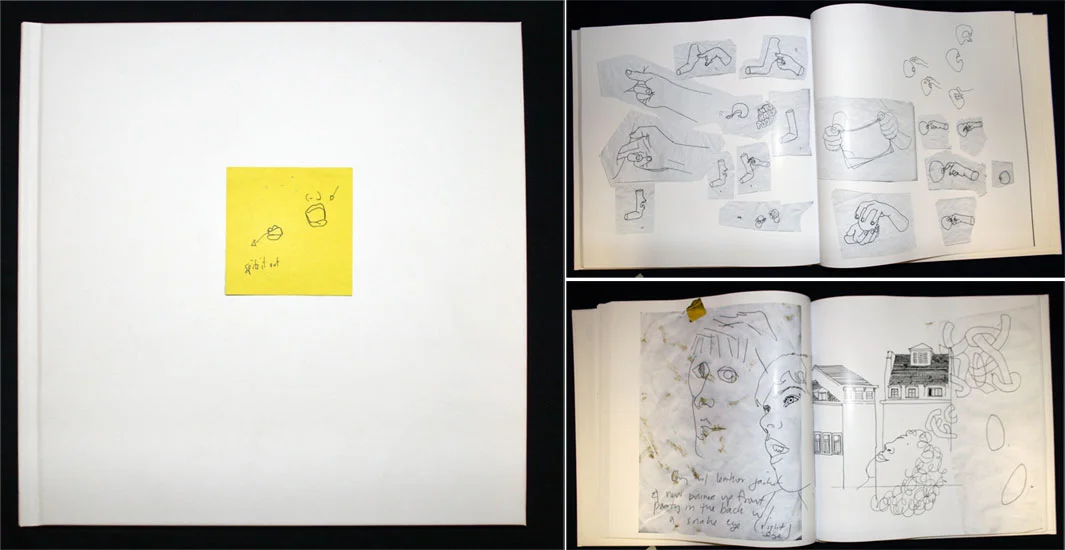    Spits it Out      12"x12" 278 pages, 2010  