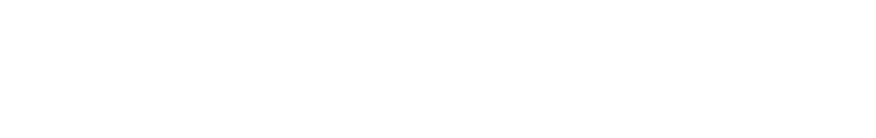 BLOW LOGO.png