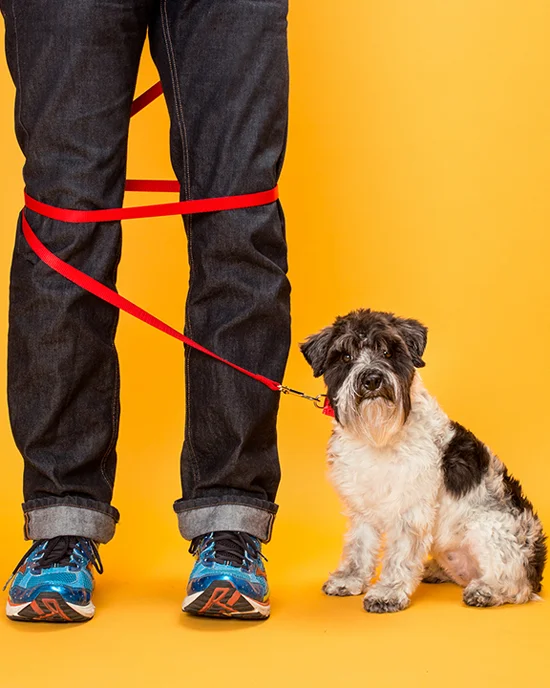 leash2.jpg