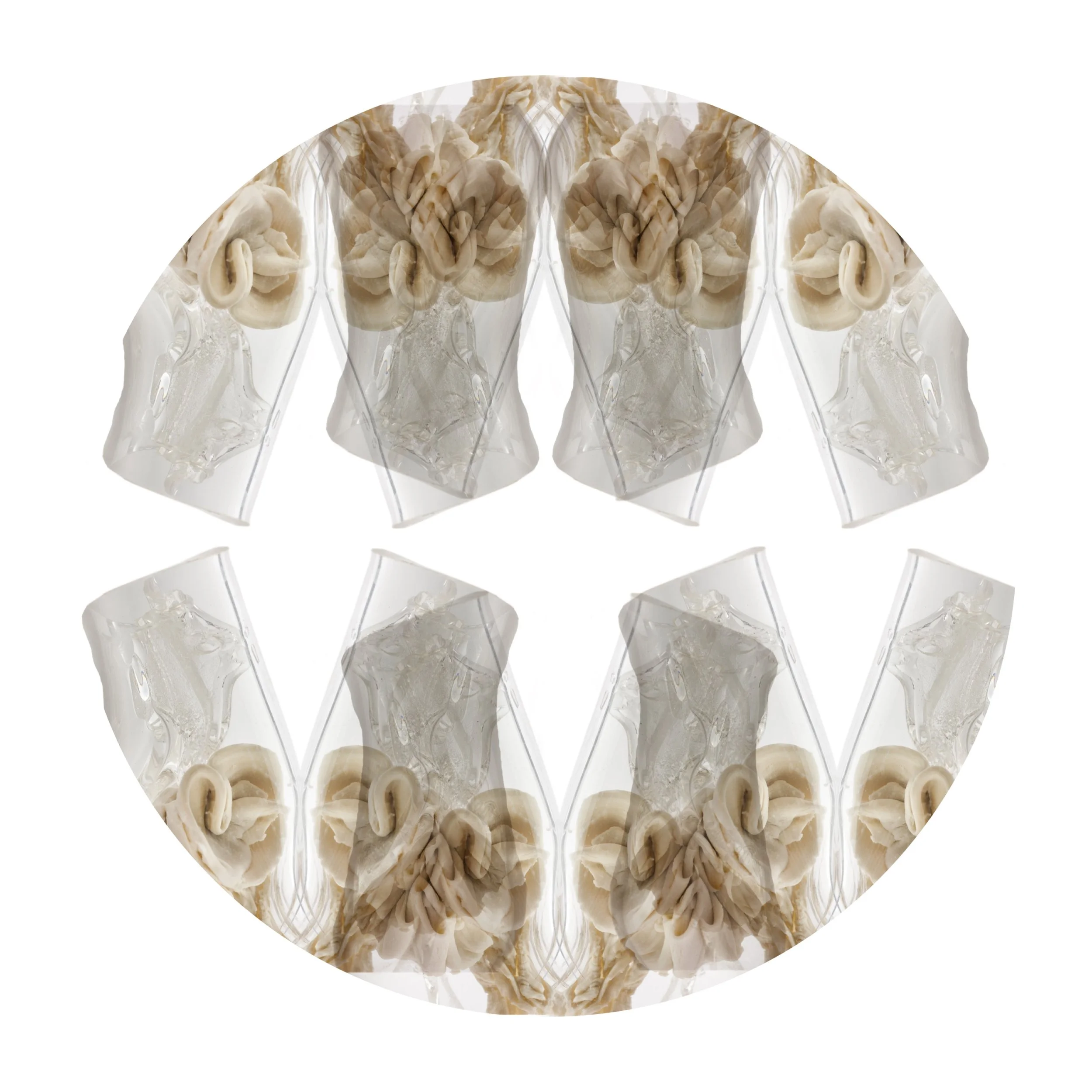 Organism Architecture: VIII (unchangeable in an ageing world)