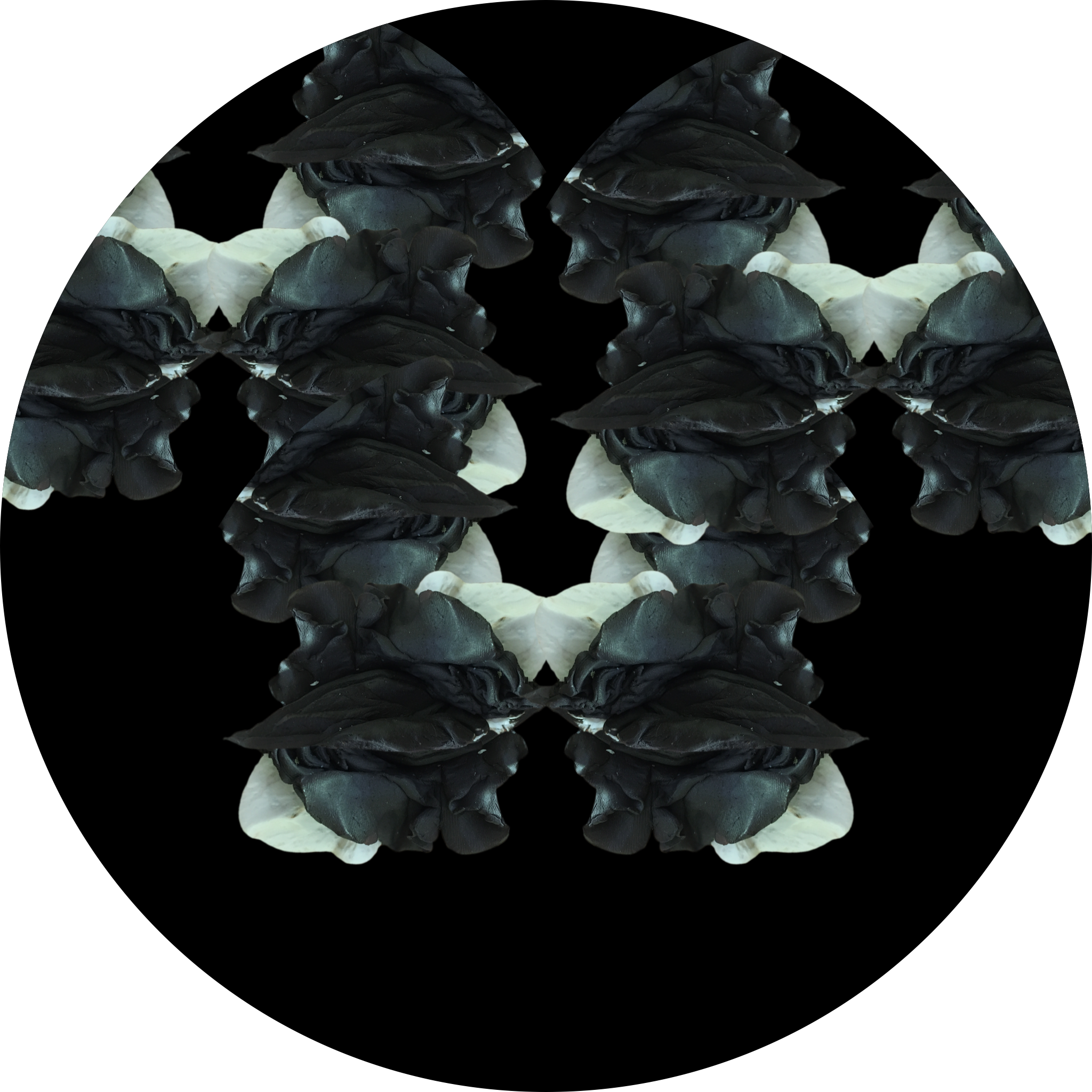 The descent into madness: V (PMDD/fracture)