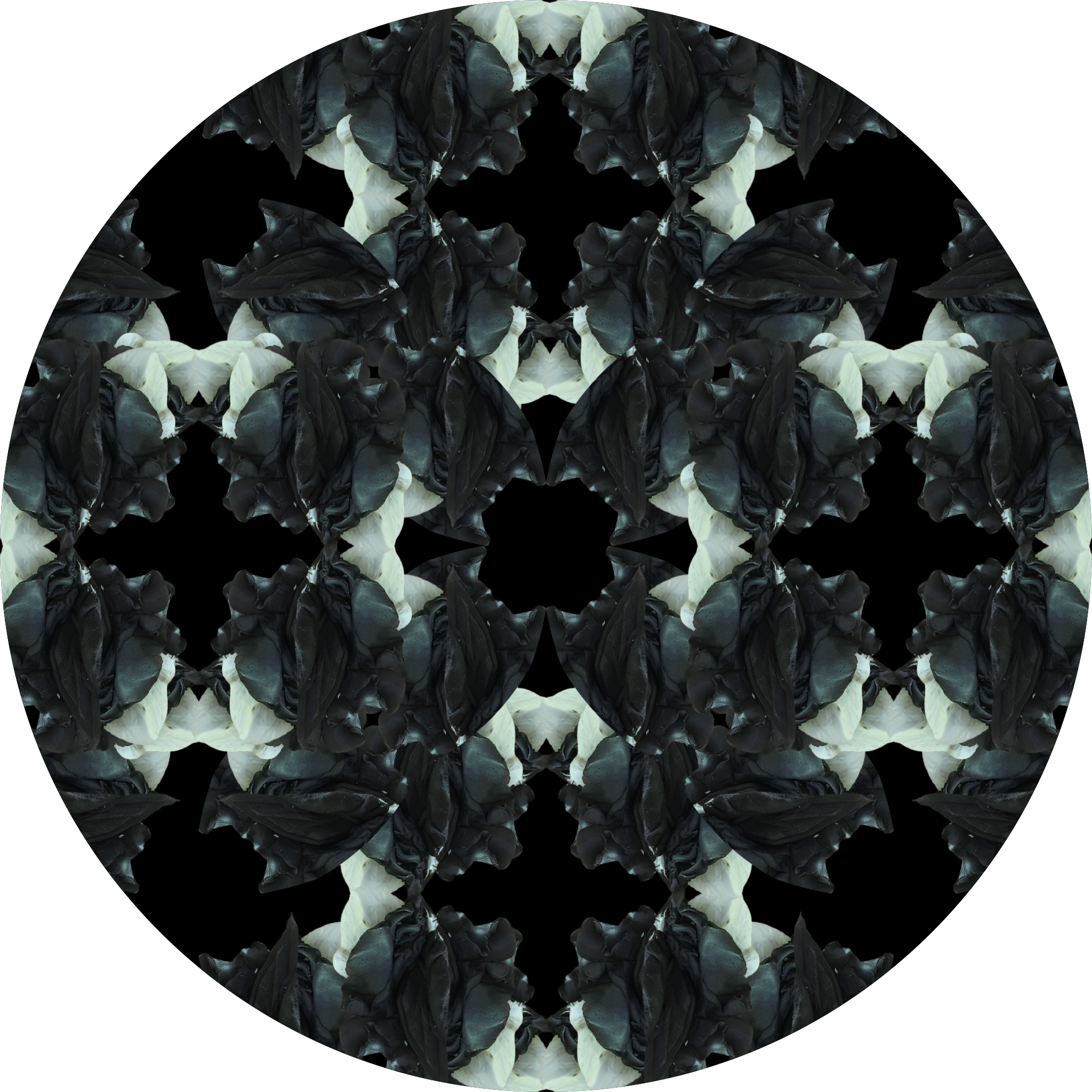 The descent into madness: VII (chaos and control)