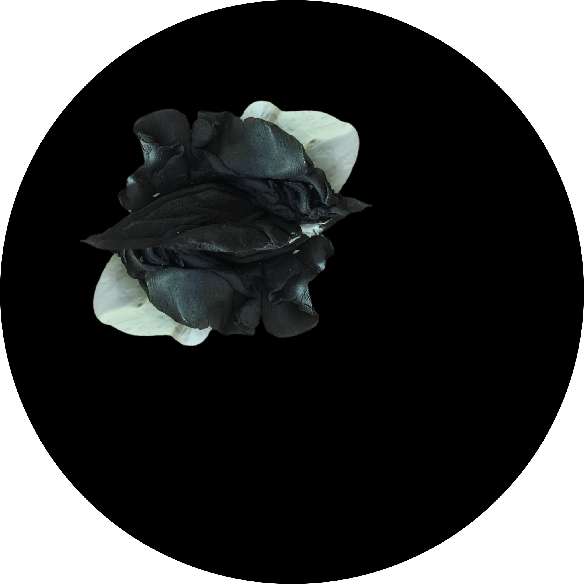 The descent into madness: I (original thought)