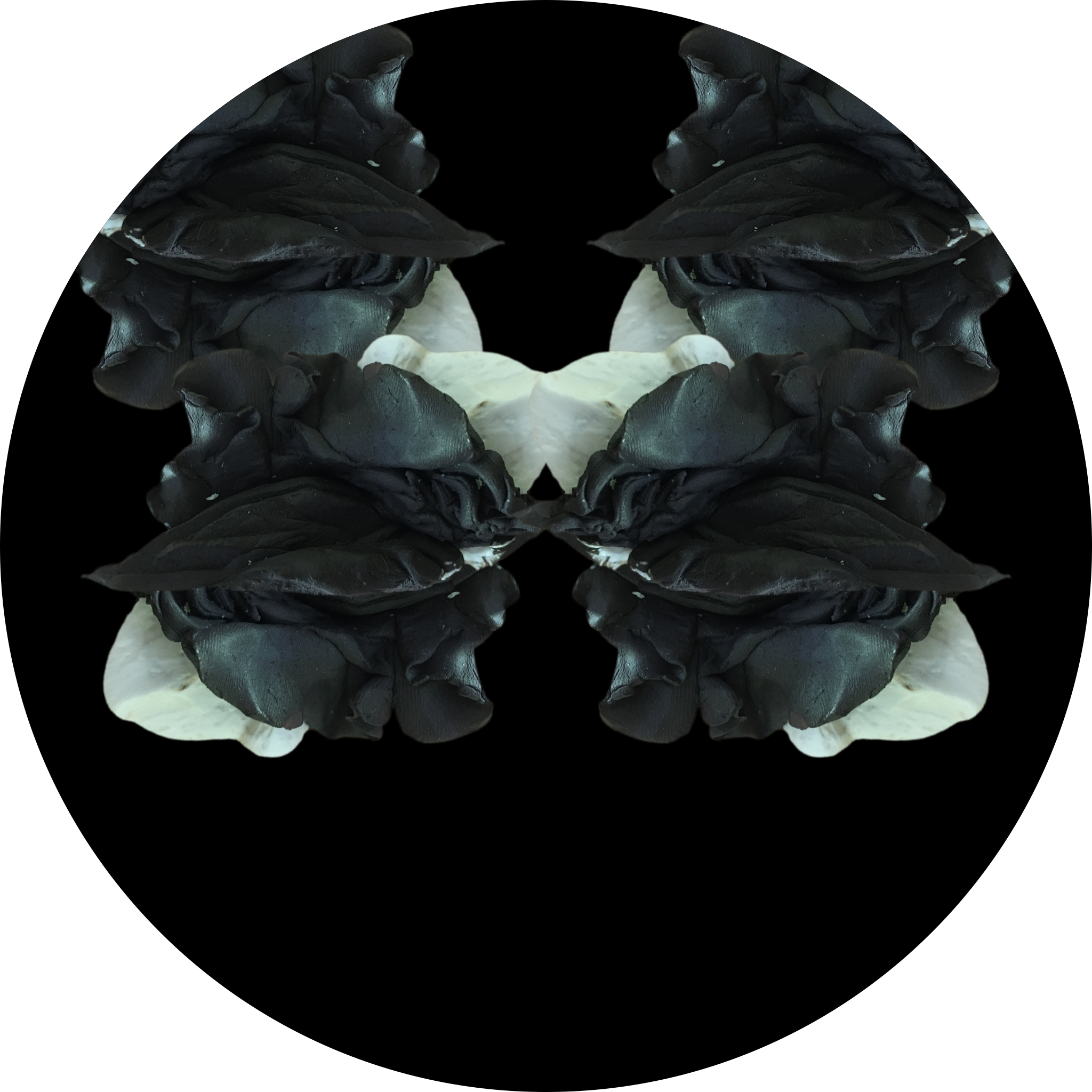 The descent into madness: IV (alignment and sleep deprivation)