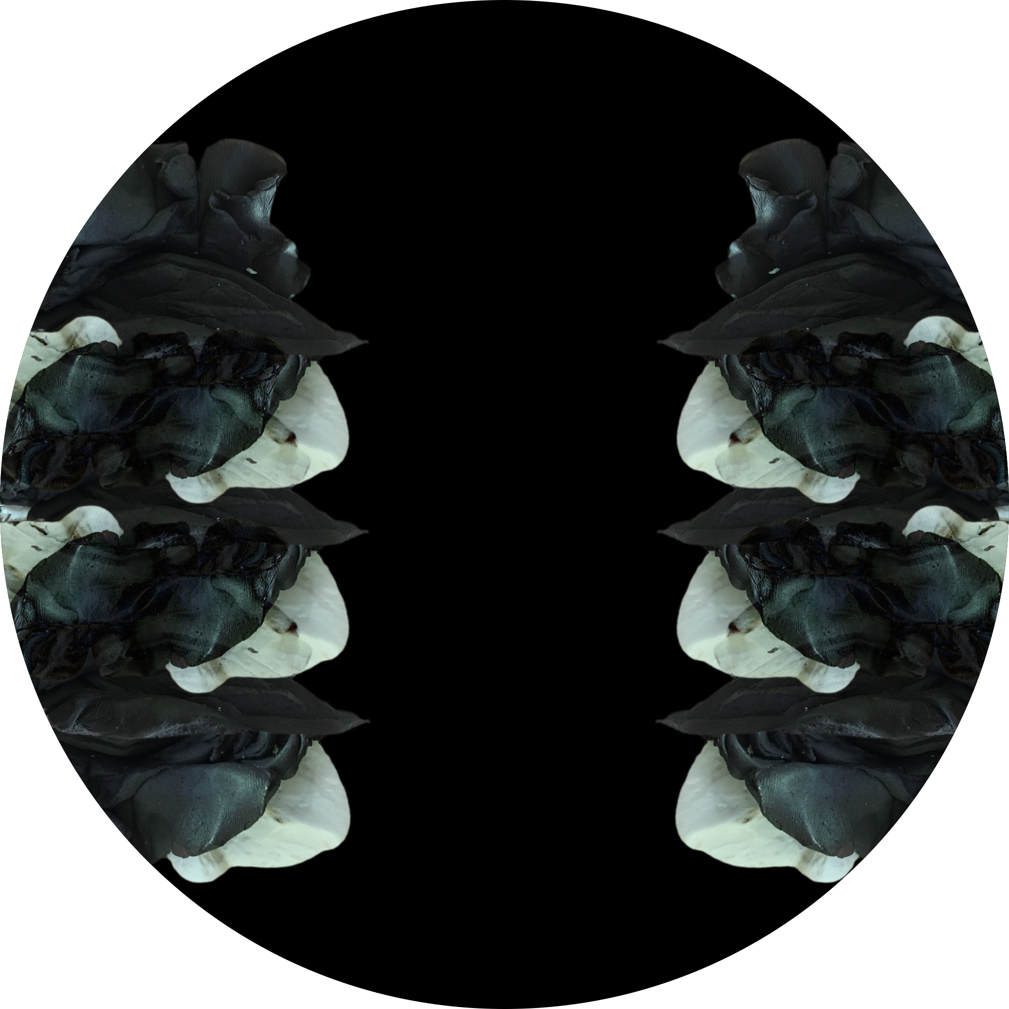 The descent into madness: III (breath)