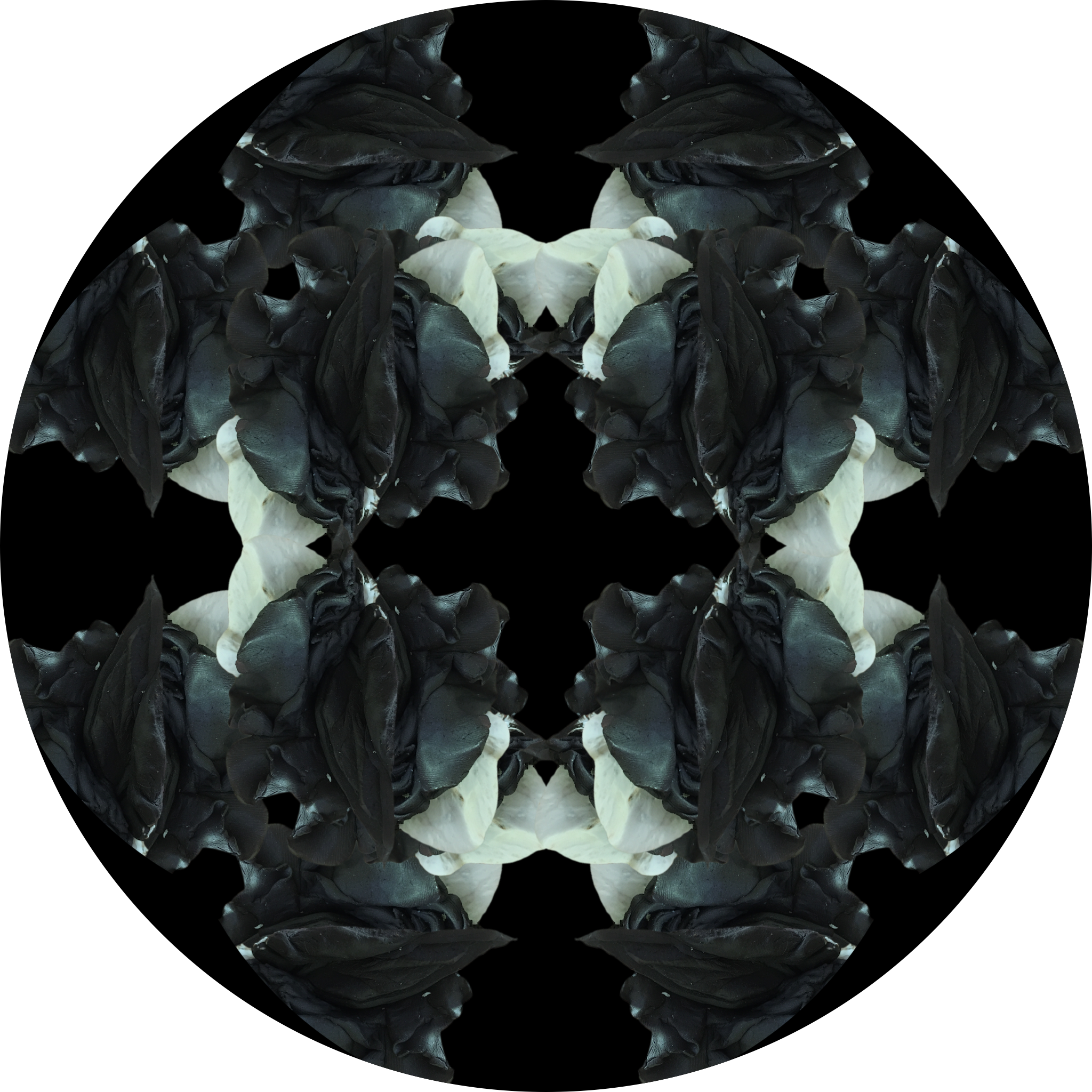 The descent into madness: VI (spiral)