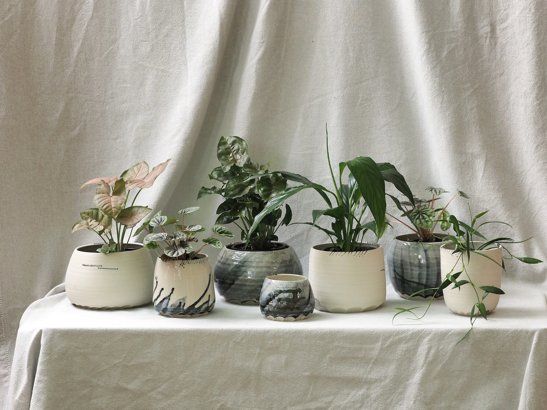 OI000195-pots.jpg