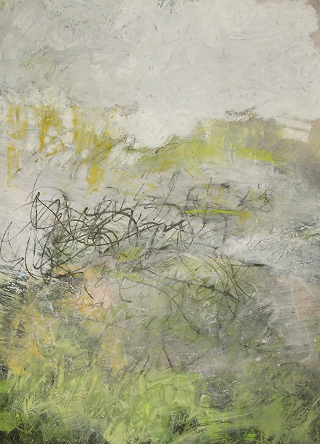 acid rain, 2012, graphite, pastel, and acrylic on paper, 19 x 26"
