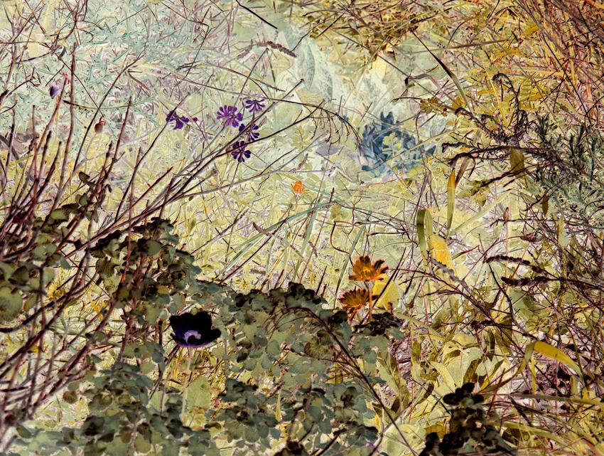 Sublime Indifference III, 2008, archival digital print, 24 x 32"