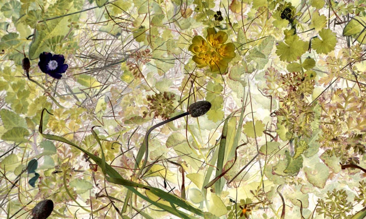 Sublime Indifference XXIII, 2008, archival digital print, 30 x 45"