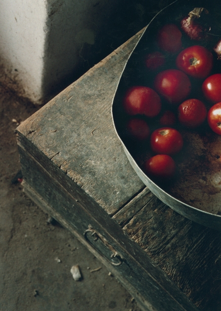 Dimitri's Farm/tomatoes, 1998-2015, archival digital print, 13.5 x 9.75"