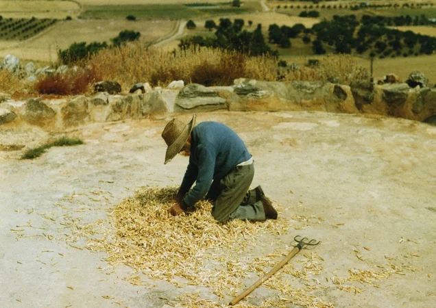 Dimitri's Farm/threshing circle, 1998-2015, archival digital print, 9.75 x 13.5"