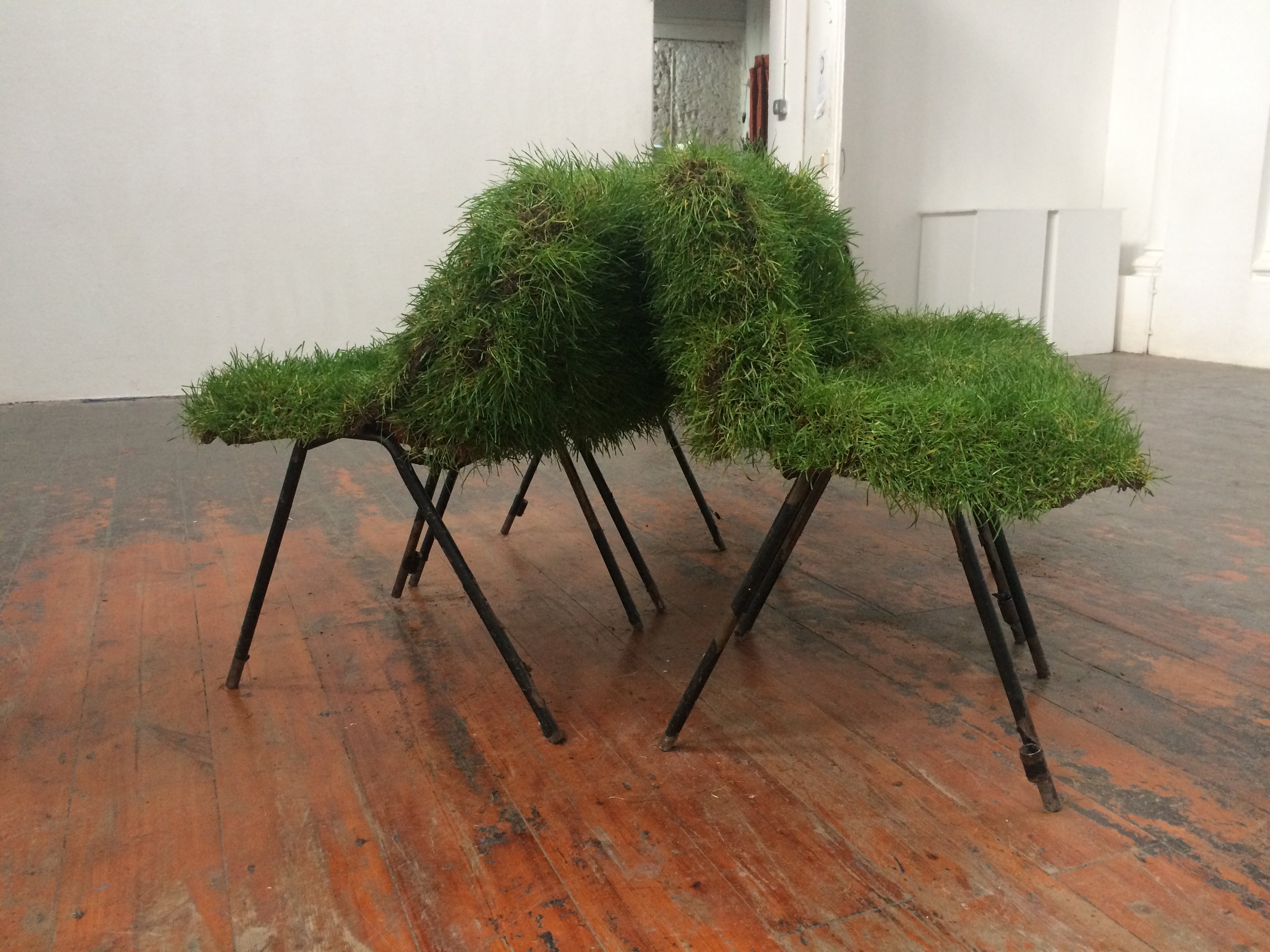 Grass Chairs_Rest 1.jpg