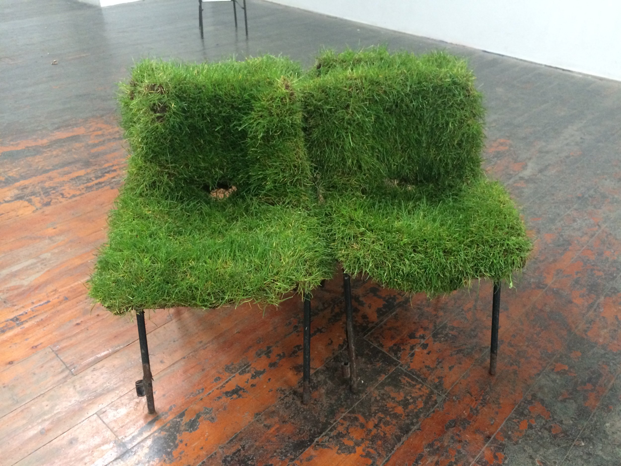 Grass chairs_Rest.jpg