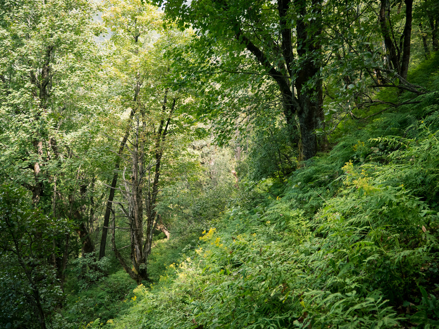 P1050575-LR_8Bit.jpg