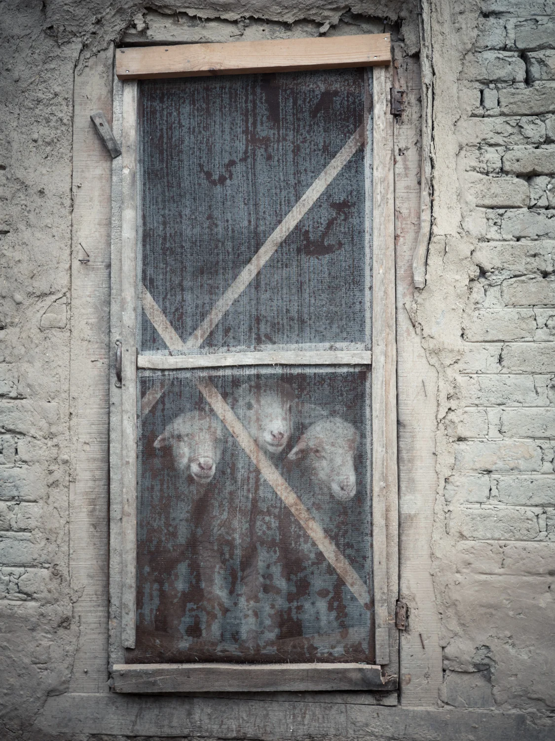 P1110709-LR_8Bit.jpg