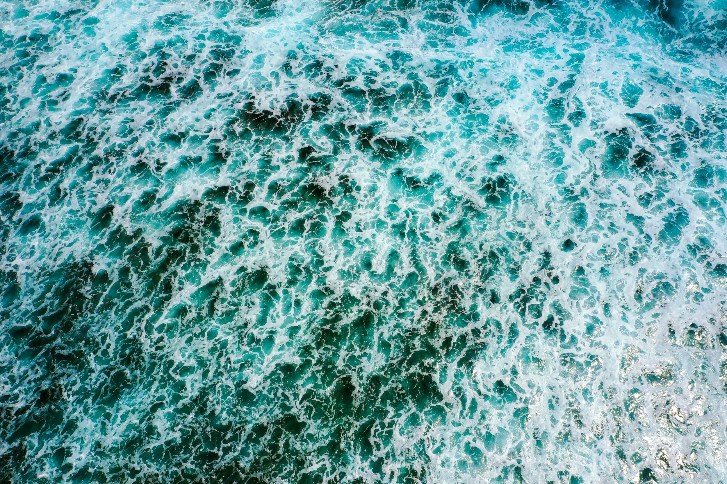 DJI_0197-LR_8Bit.jpg