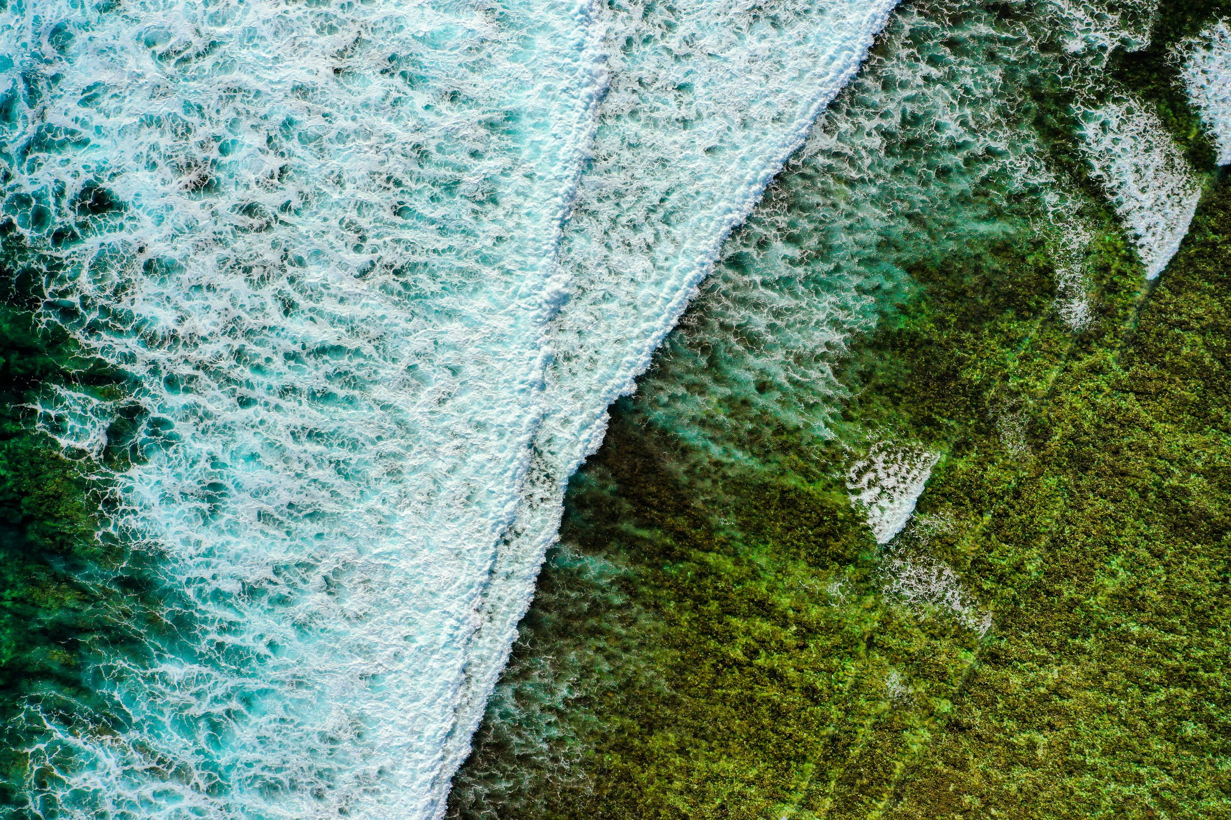 DJI_0218-LR_8Bit Kopie.jpeg