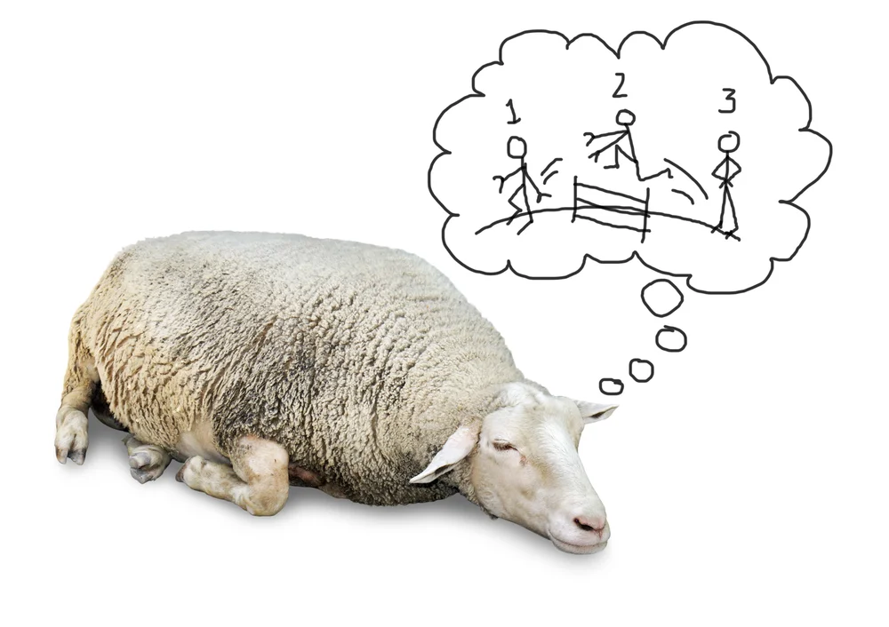 Sleep counting sheep shutterstock_110338271.jpg