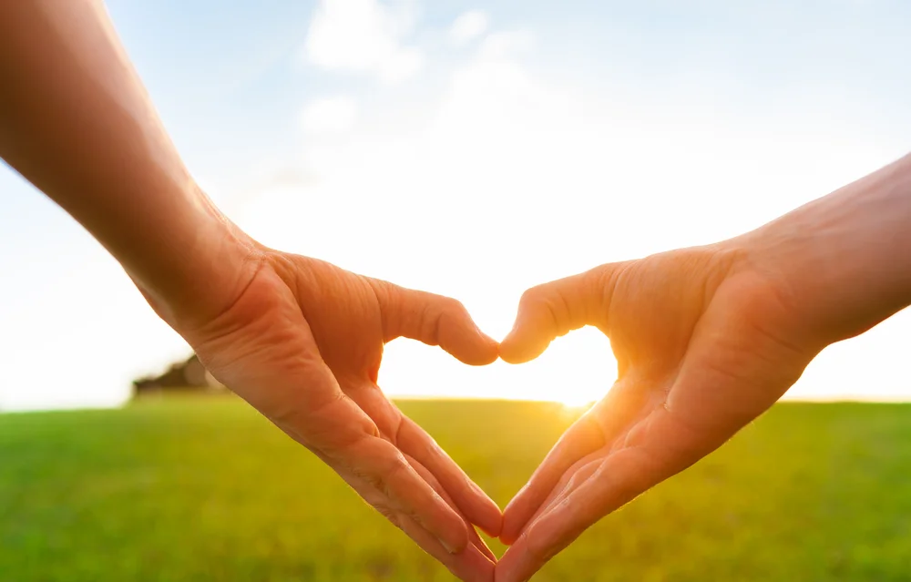 Healthy heart shutterstock_244939462.jpg