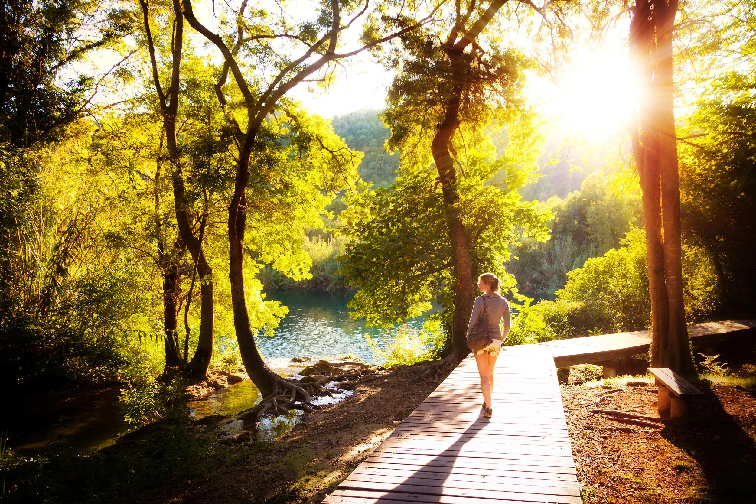 Walk by trees and lake sunshine shutterstock_128818372.jpg