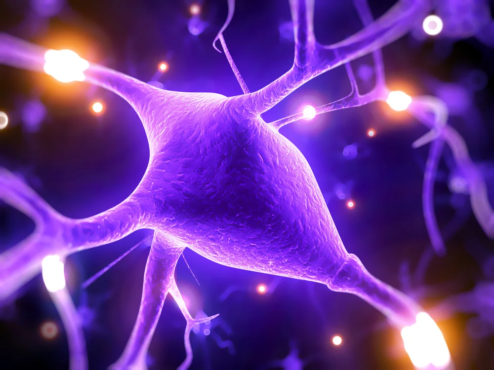 A&P nerve signal shutterstock_128576417.jpg