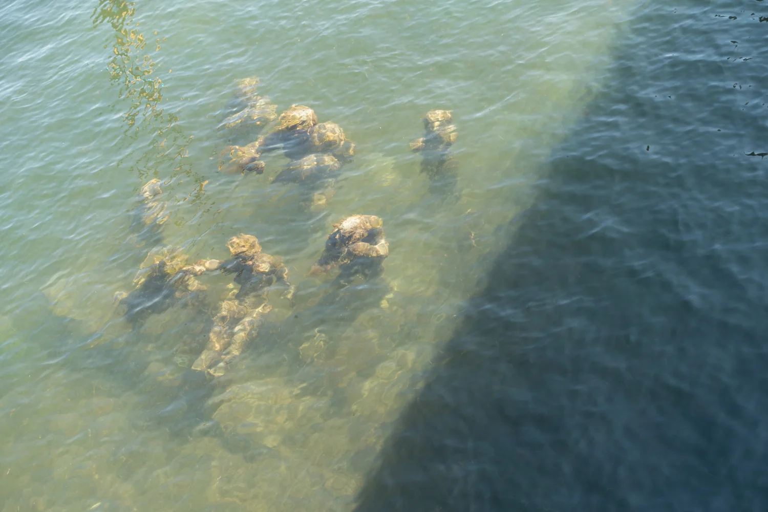 The Merman with Seven Sons , sculptures by Suste Bonnén. Photo by Canan Marasligil. 