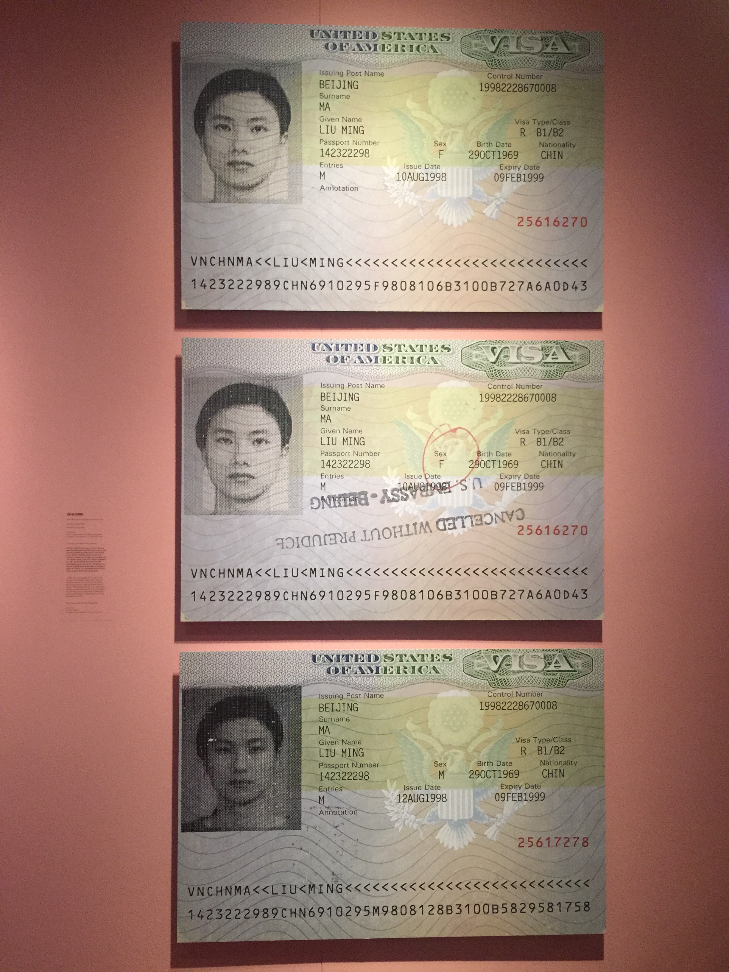 Visa to the USA by Ma Liuming