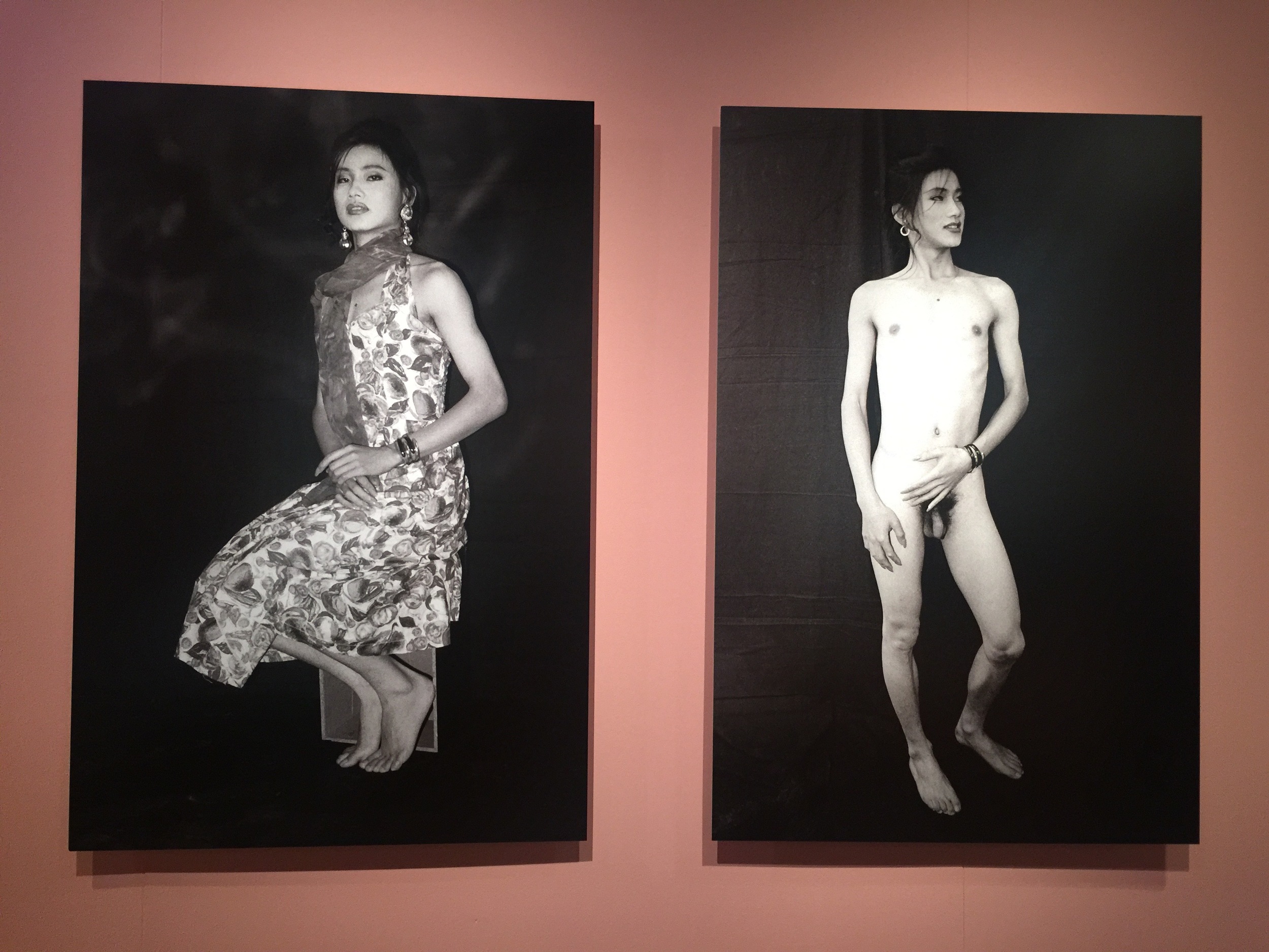 Fen Ma Liuming Series No. 1 (1993)