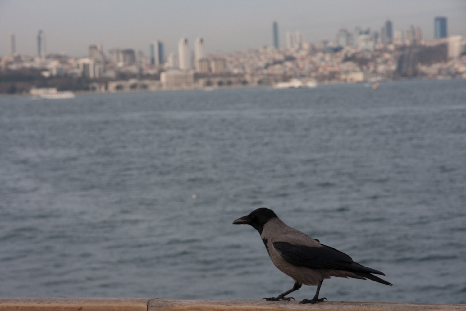 Photo by Erinc Salor .