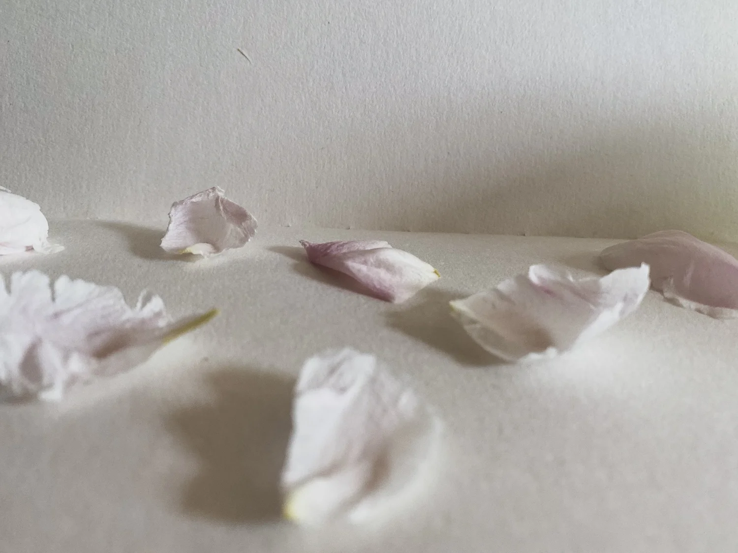 10 - On Curating Literary Programmes