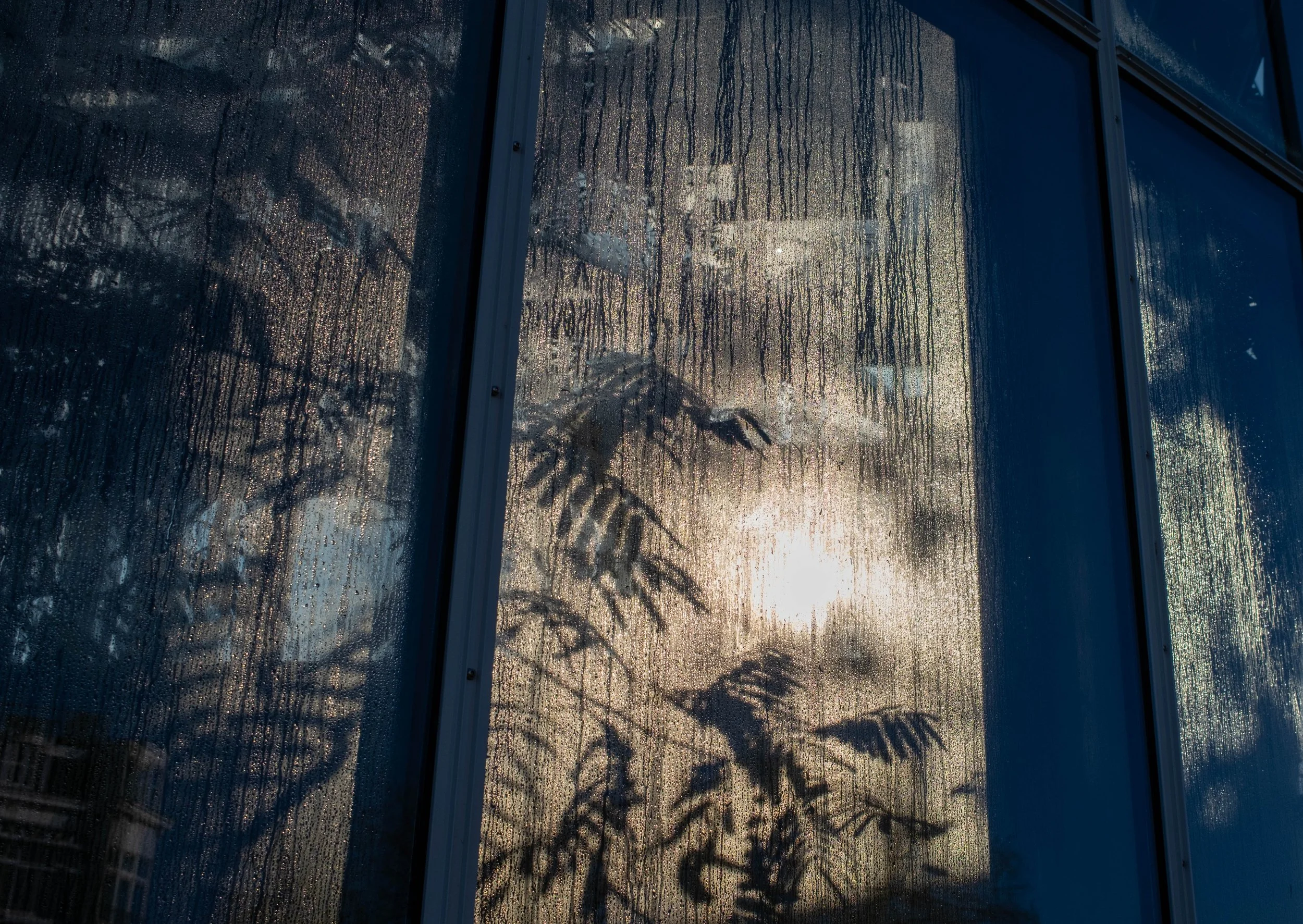 46 - there is life beyond what we see