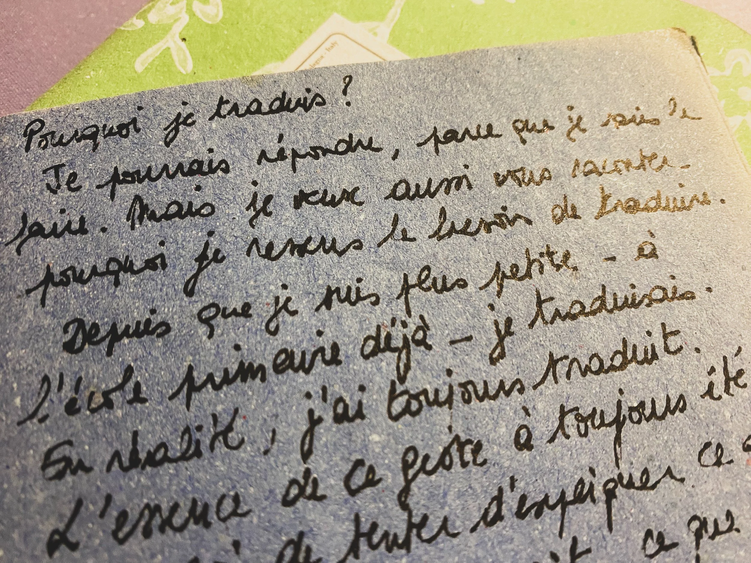 Literaire Vertaaldagen: De stem van de vertaler