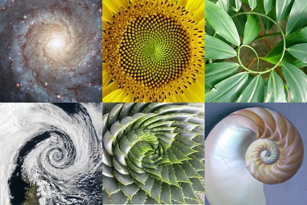 How to Use the Golden Ratio to Create Beautiful Interiors