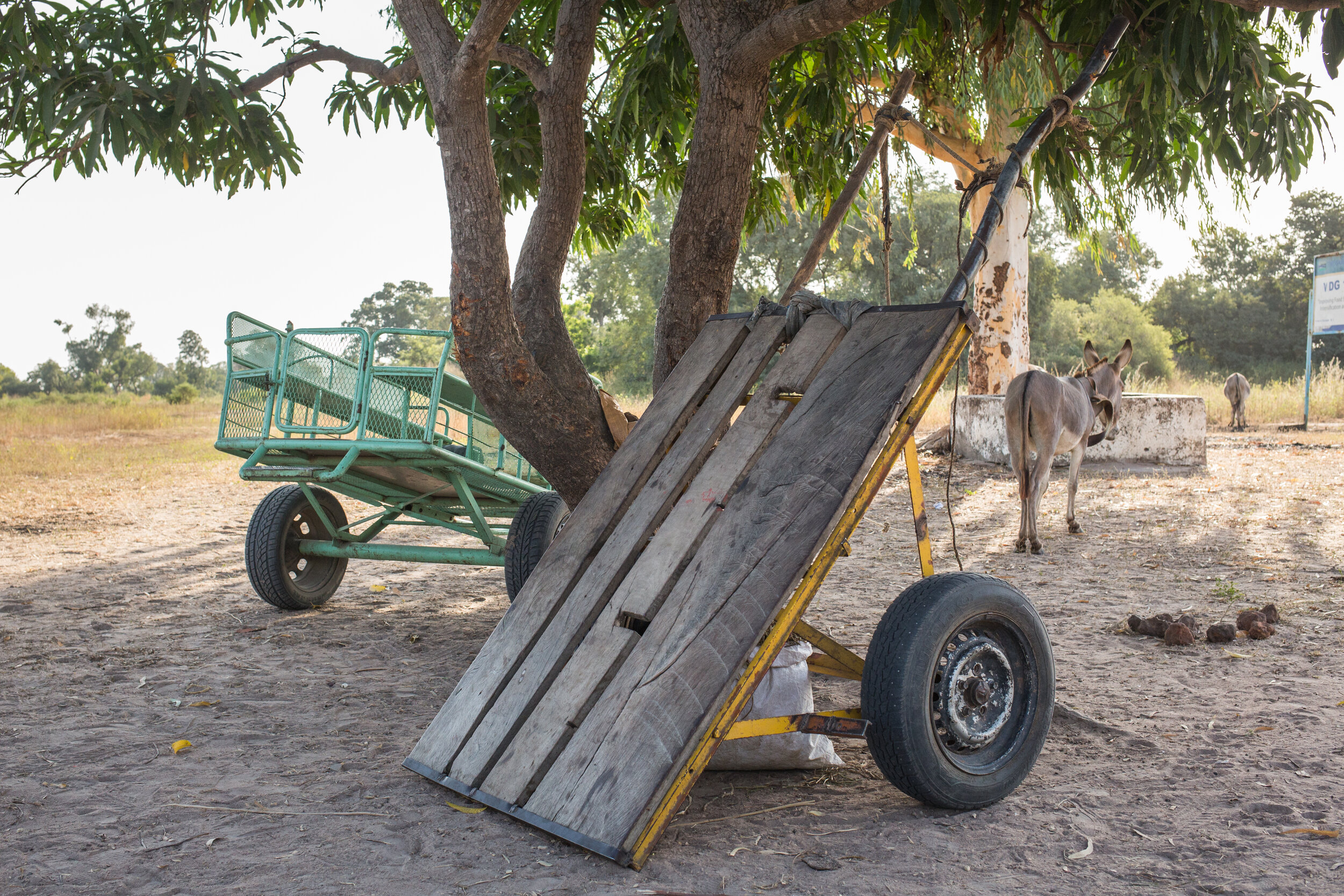 A new cart and an old donkey cart. 