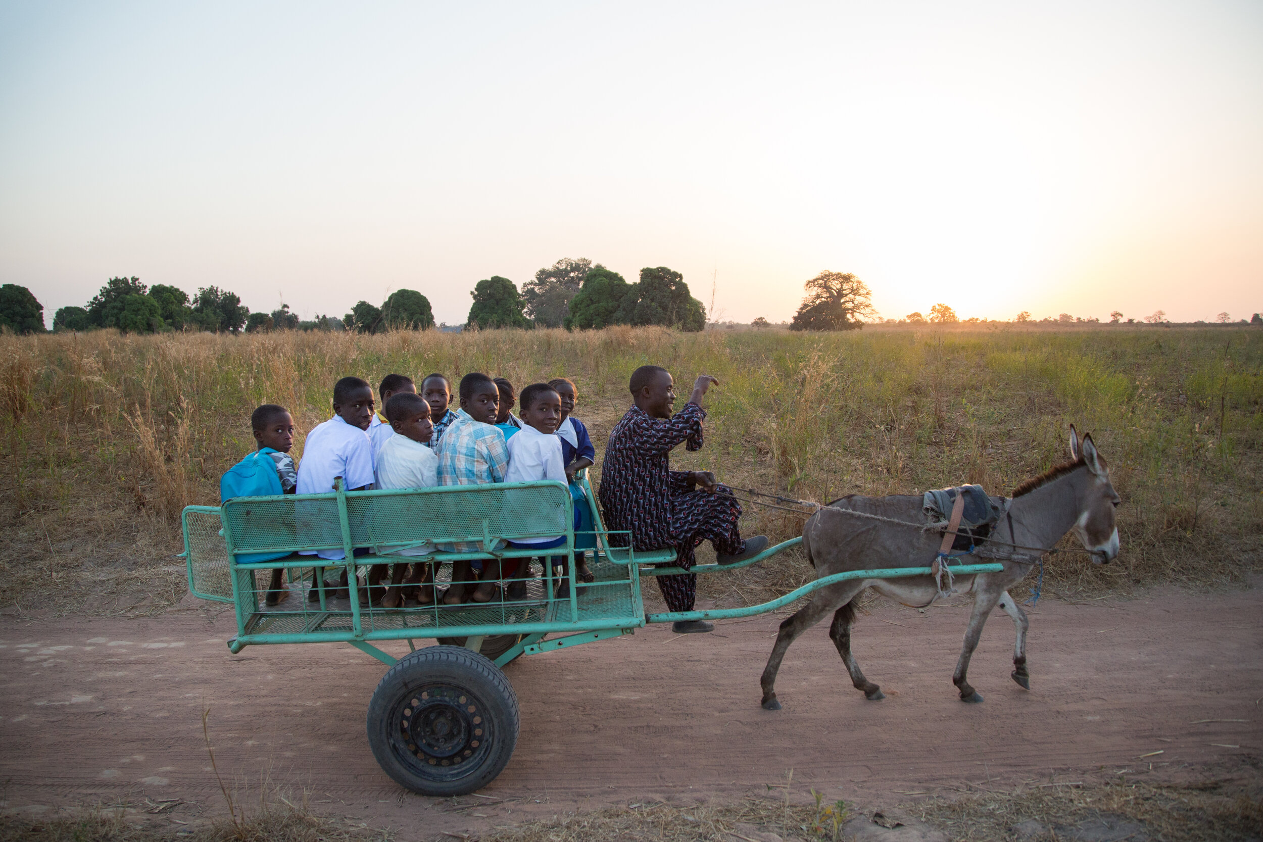  Children from the Sinchou Demben village aboard a donkey cart driving them daily to the closest school offering lower basic classes, around 3km away in Sare Babou. 