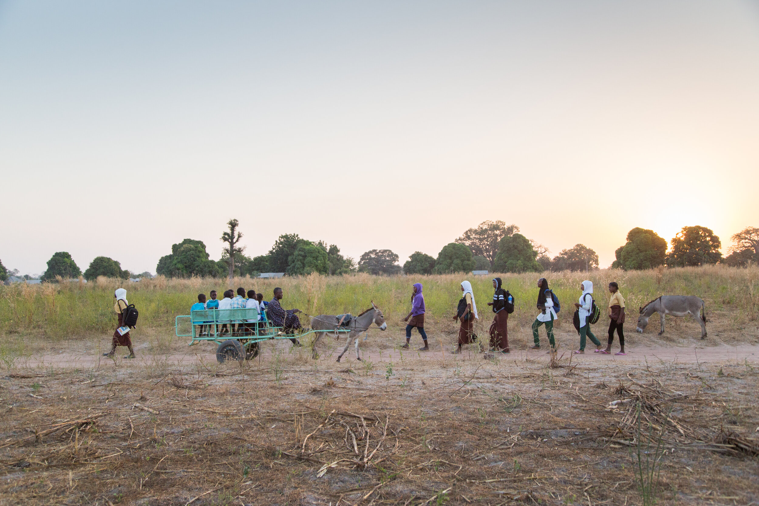  Malang Demto crosses paths with older students making their way to school as he drives children from Sinchou Demben to the closest school around 3km away in Sare Babou.   